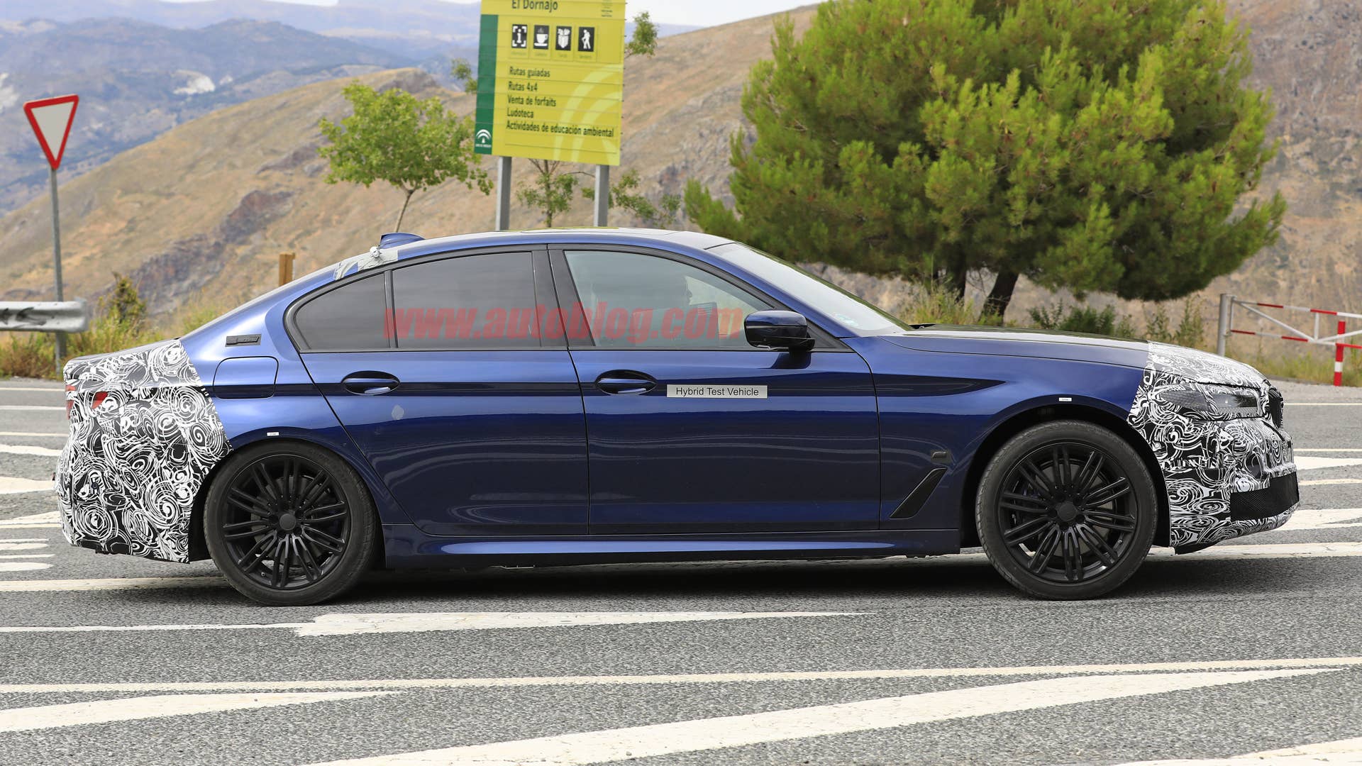 BMW 5 Series in camouflage