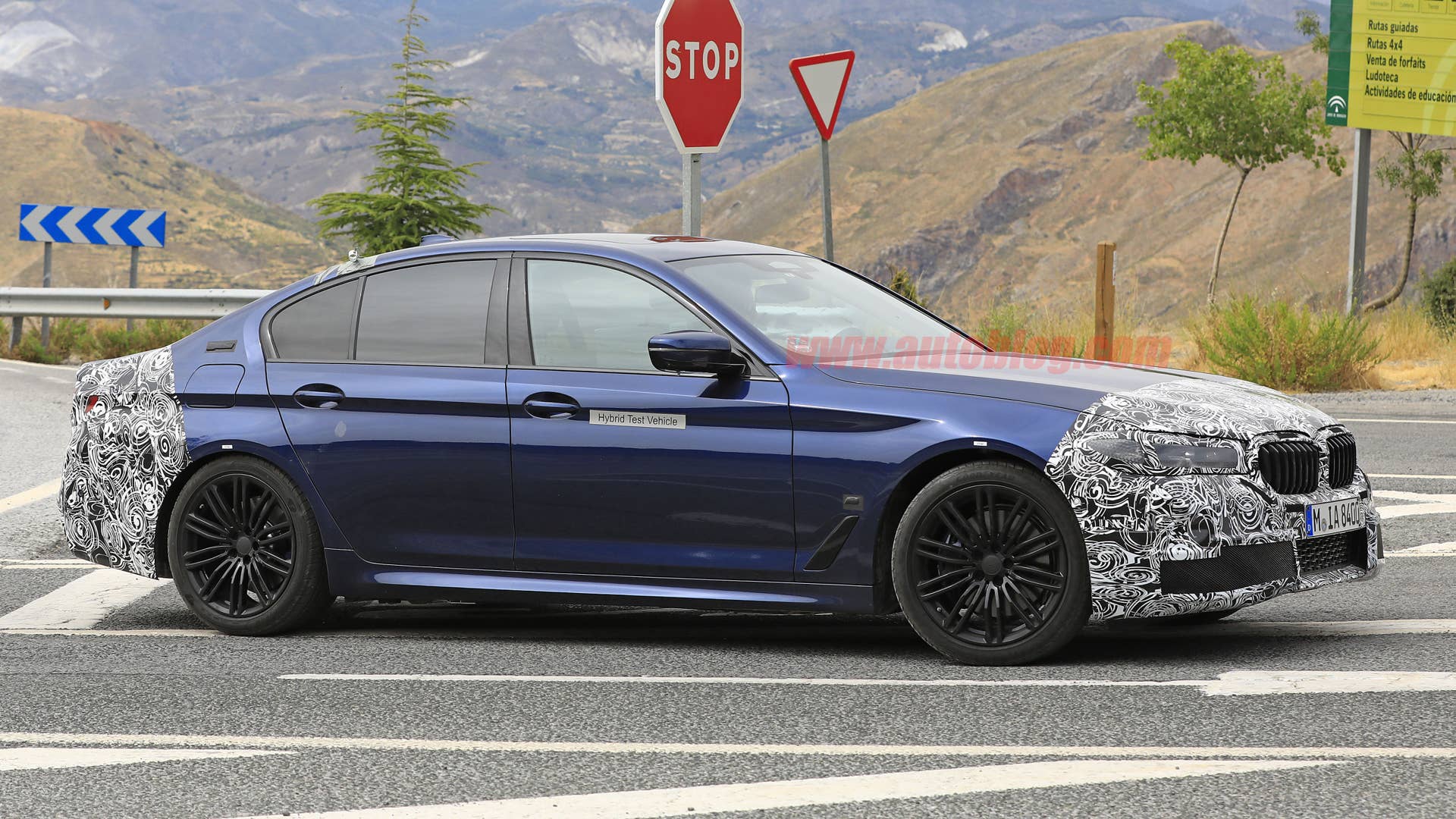 BMW 5 Series in camouflage