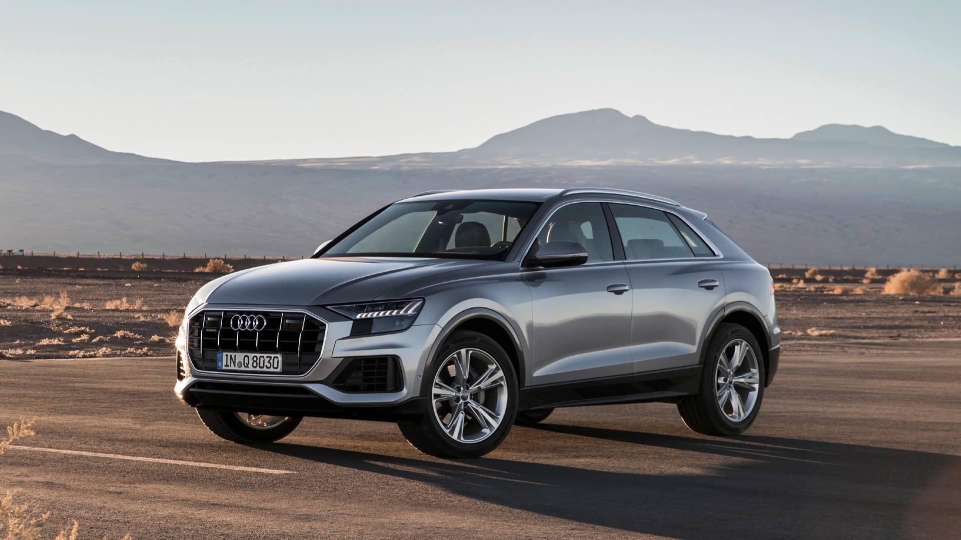 2019 Audi Q8