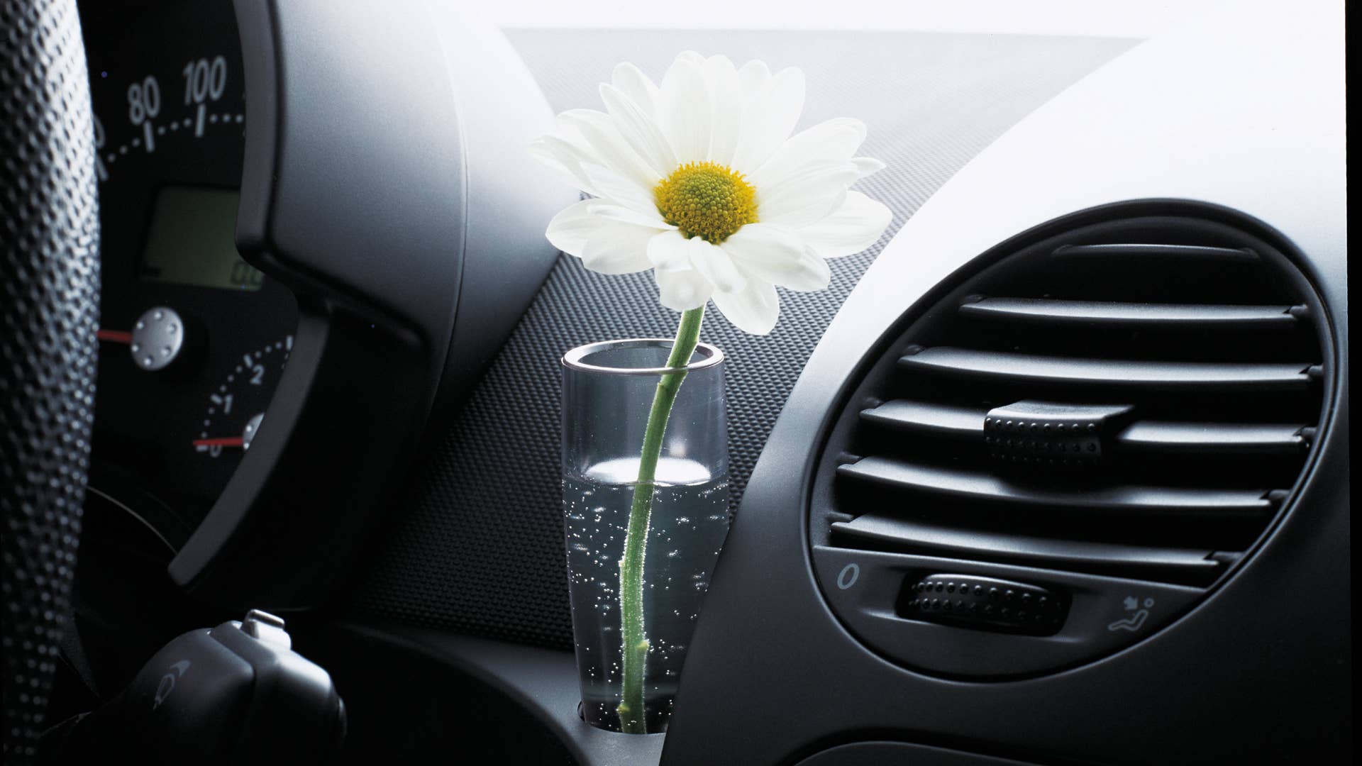 Volkswagen New Beetle flower vase
