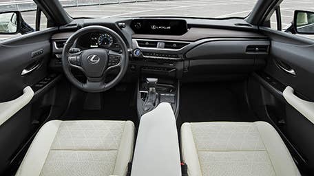 2019 Lexus UX 250h