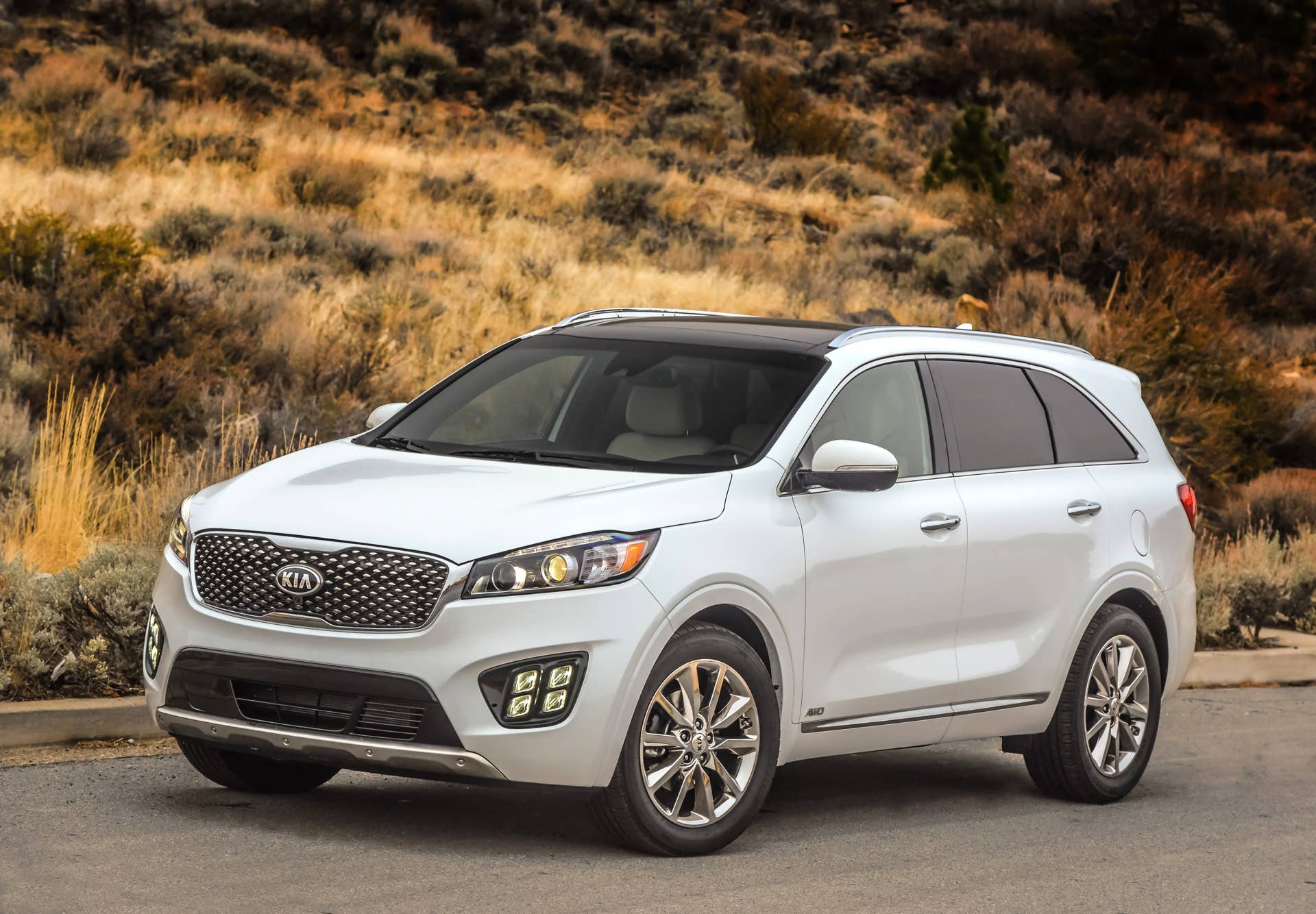 2017 Sorento