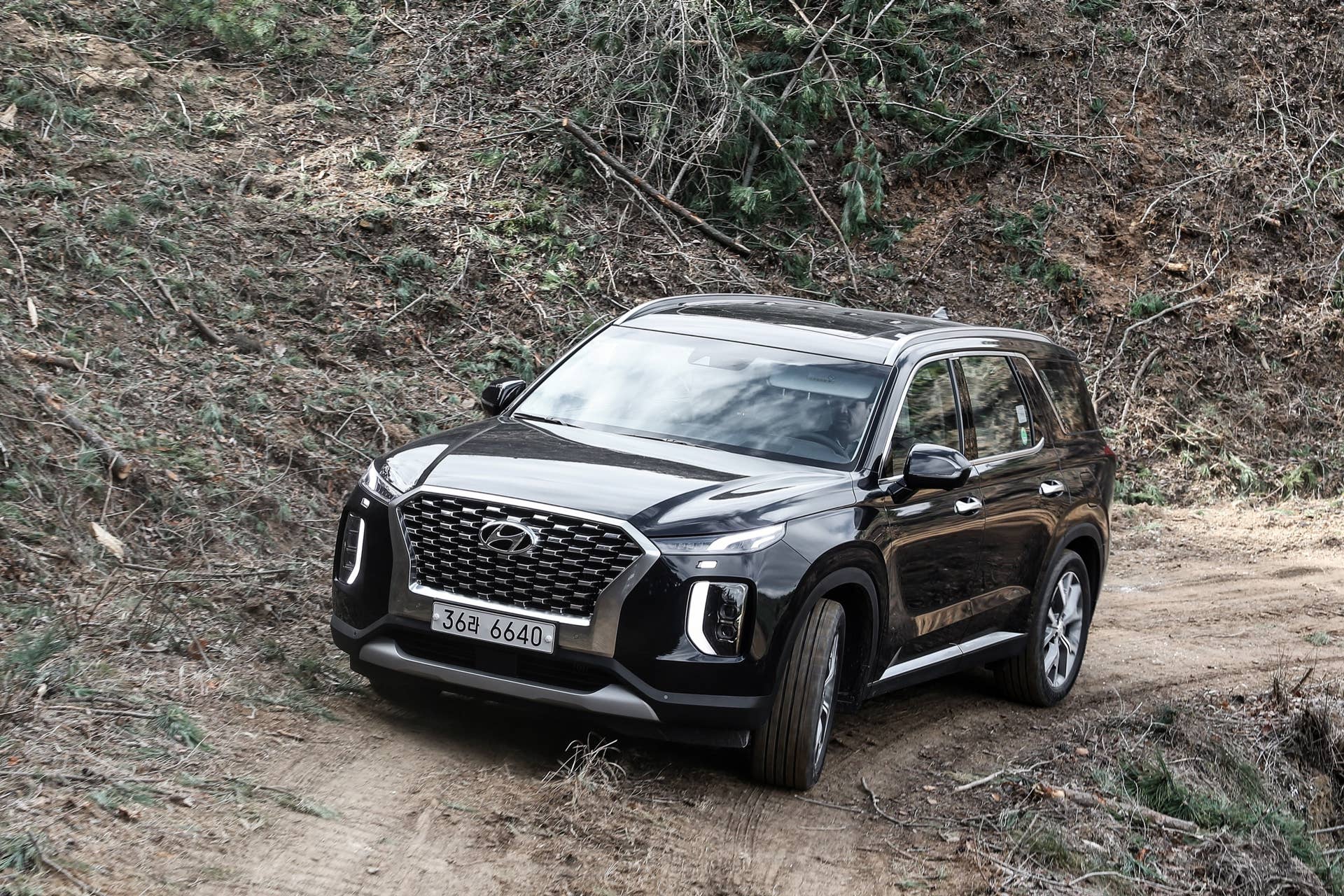 2020 Hyundai Palisade