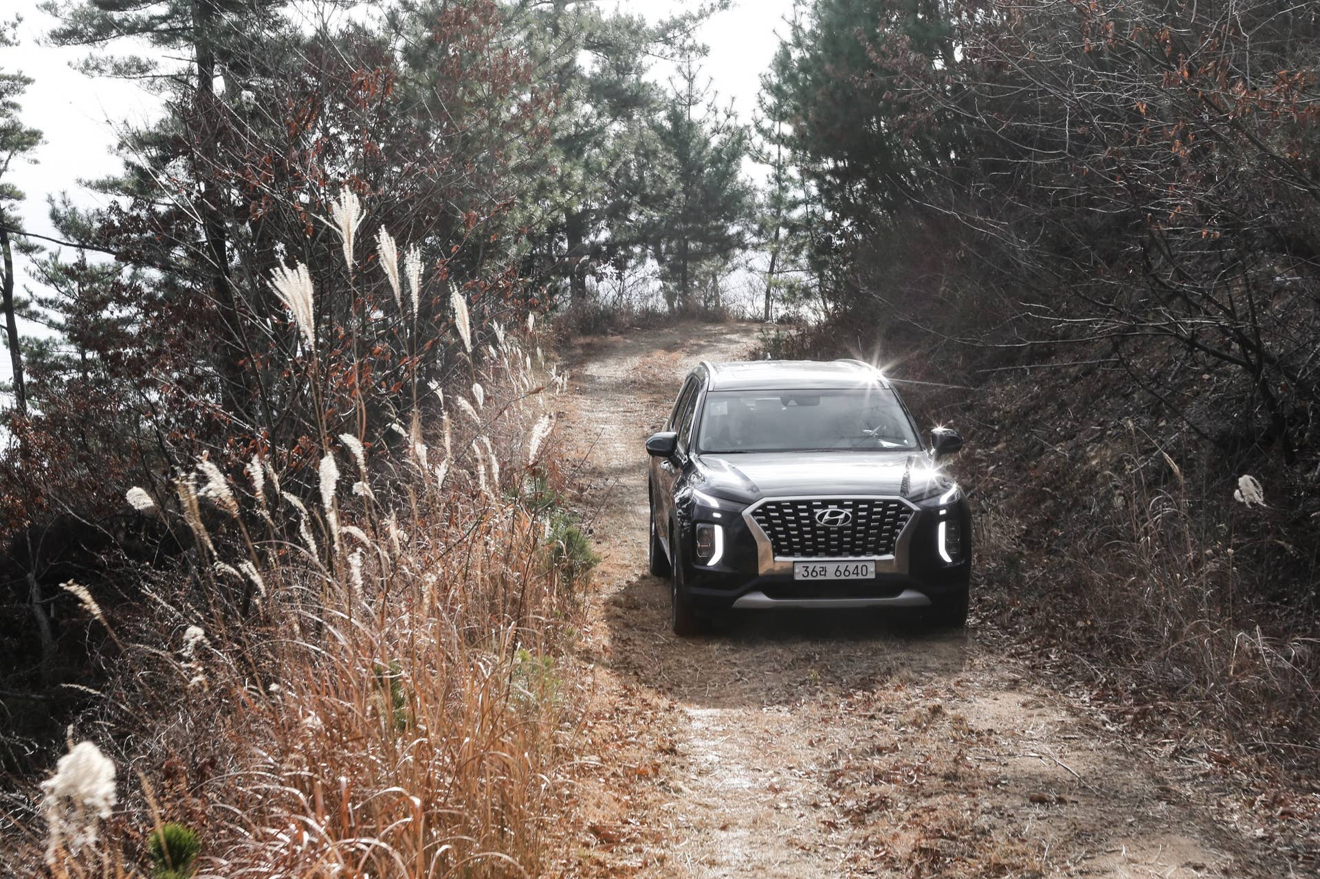 2020 Hyundai Palisade