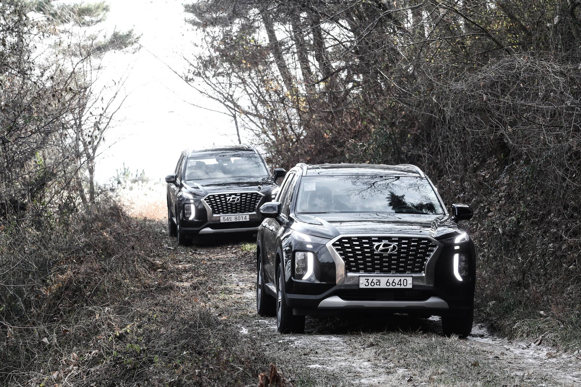 2020 Hyundai Palisade