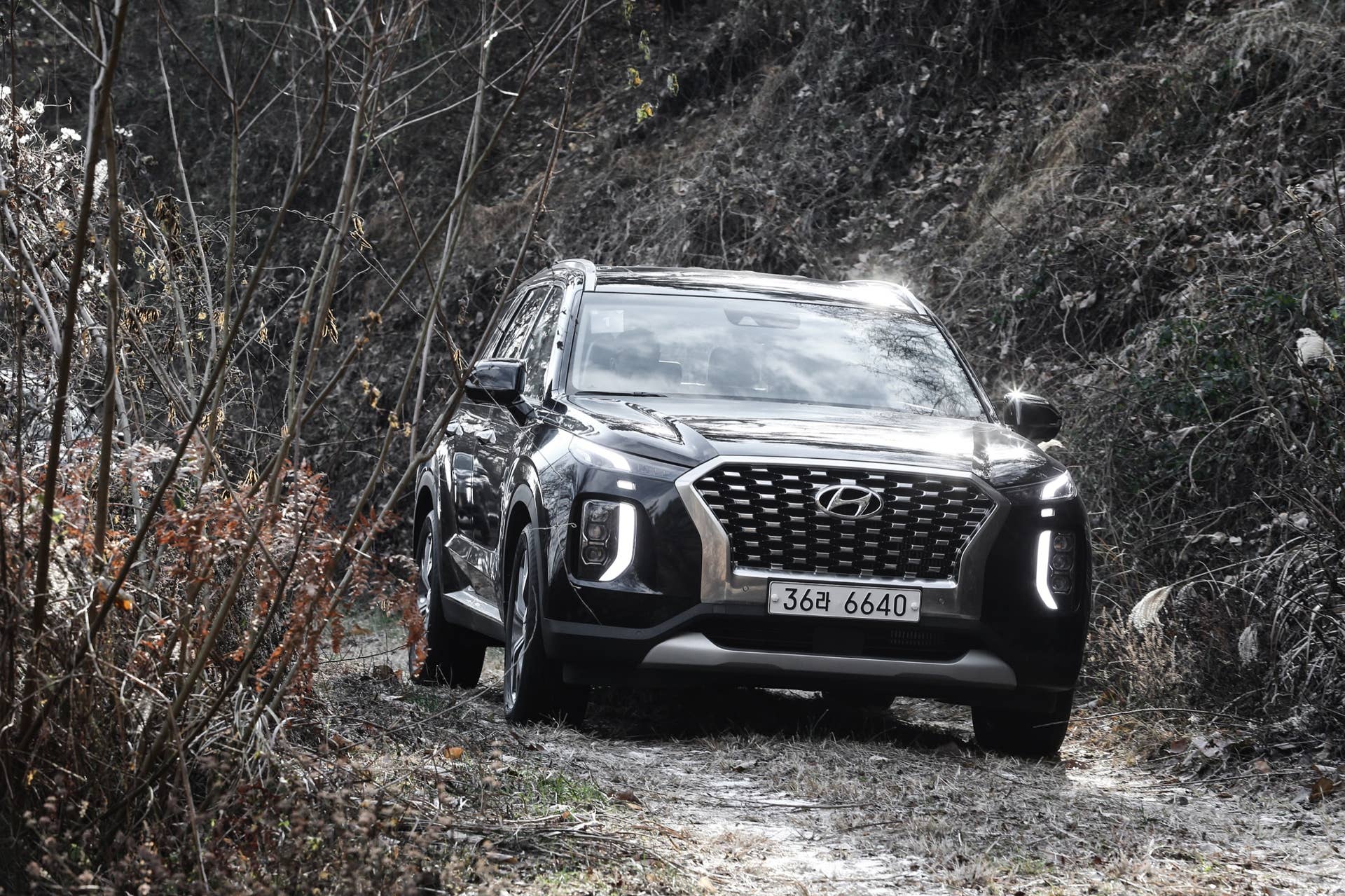 2020 Hyundai Palisade