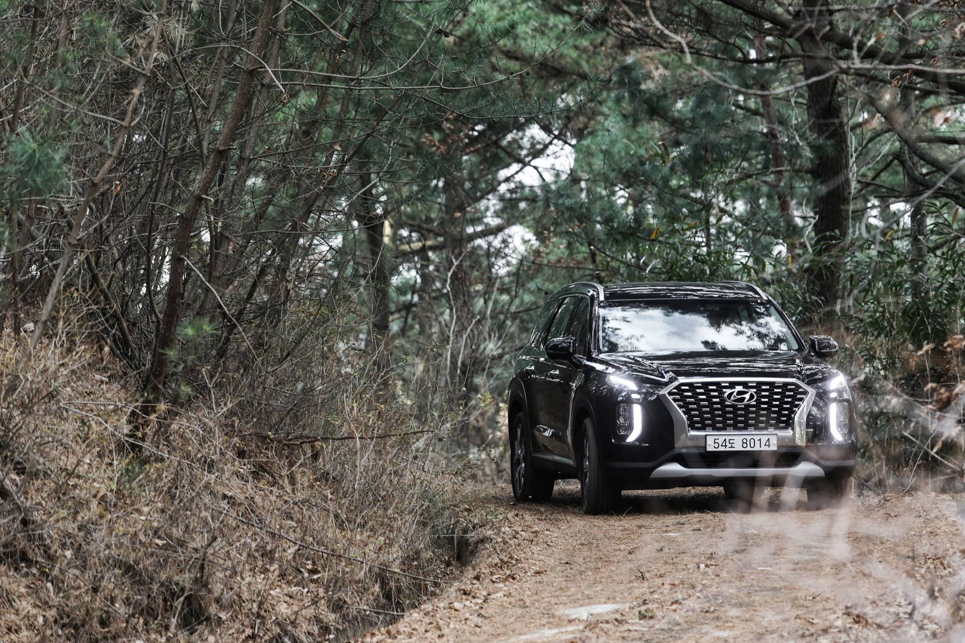 2020 Hyundai Palisade