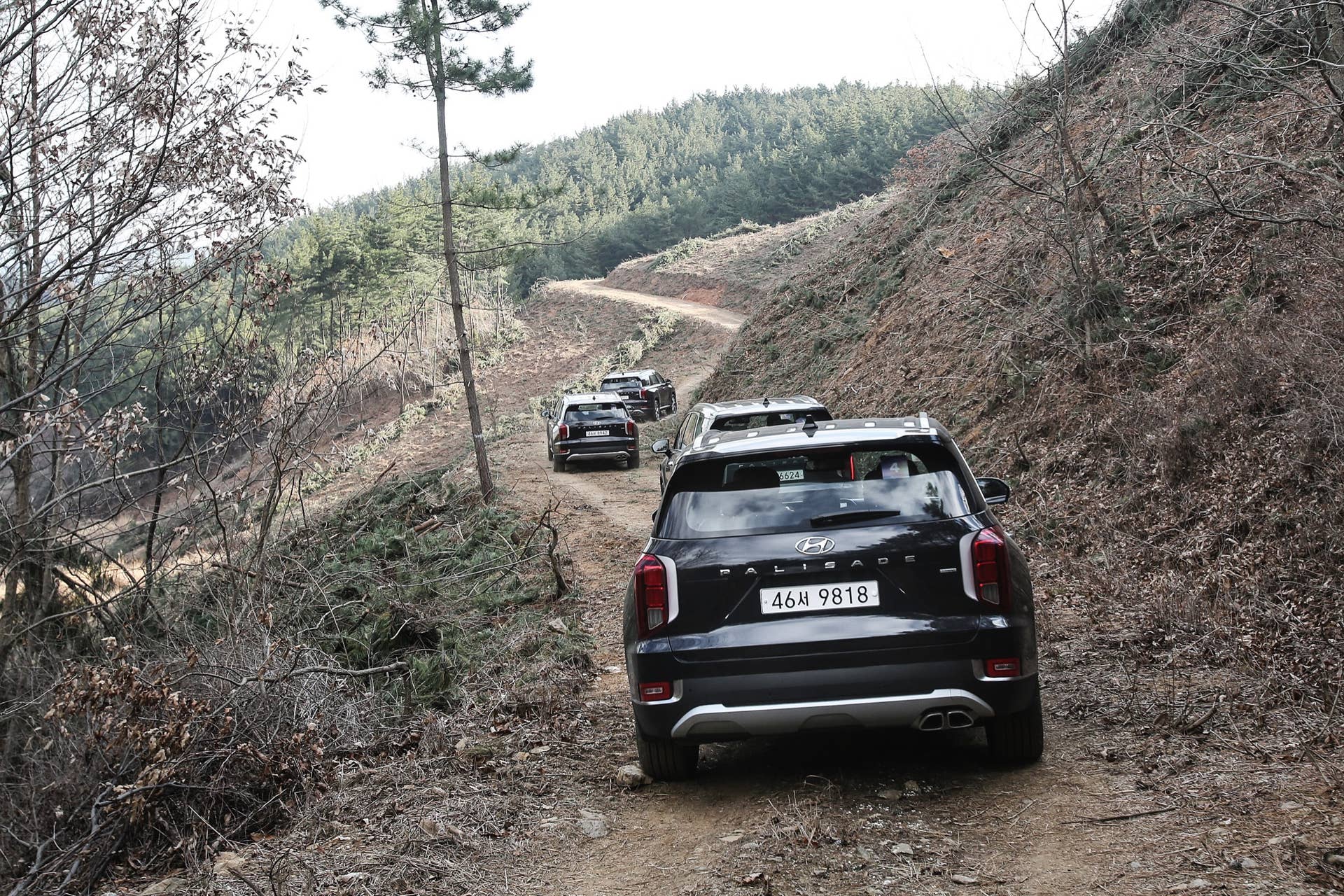 2020 Hyundai Palisade