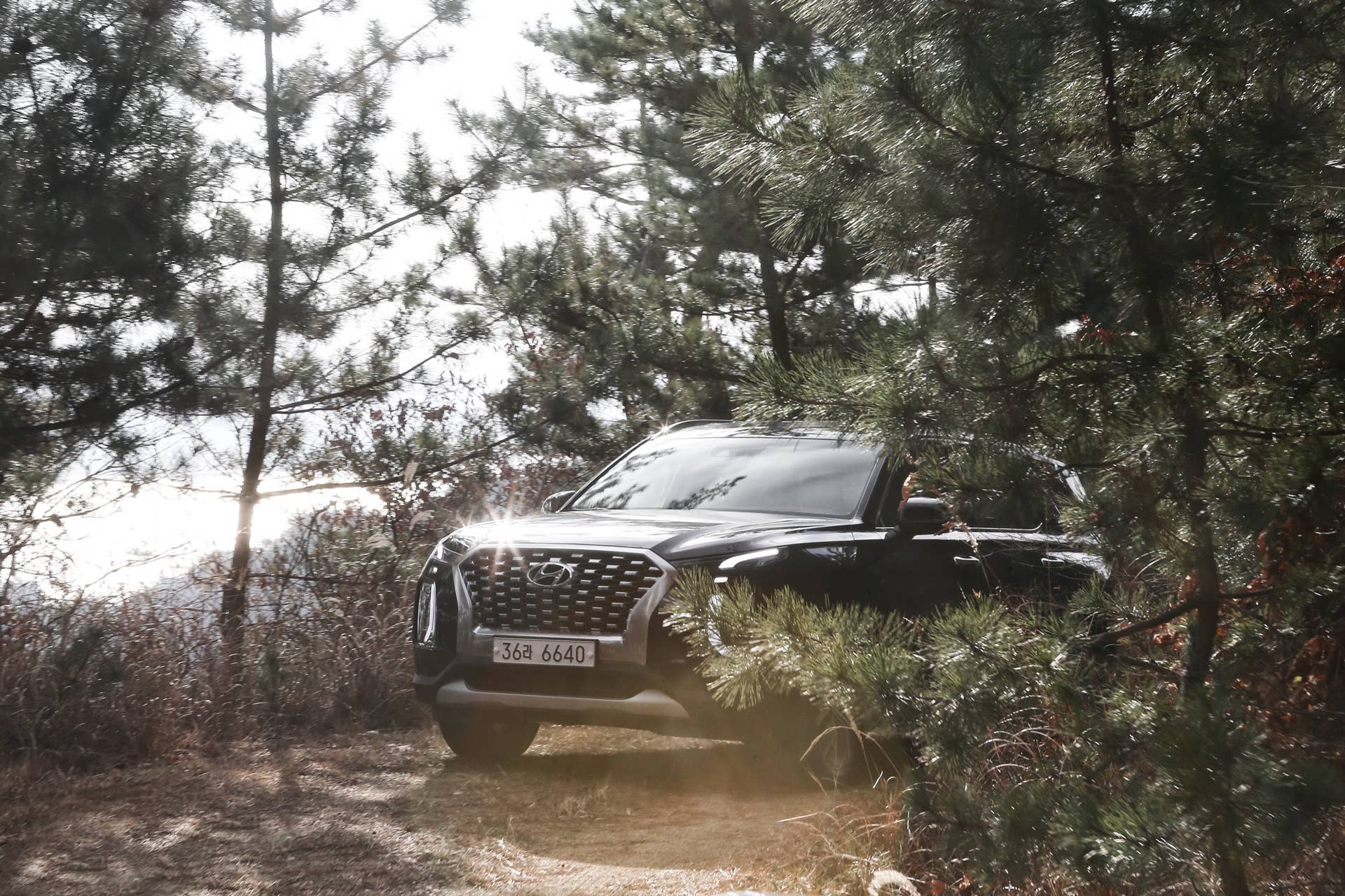 2020 Hyundai Palisade