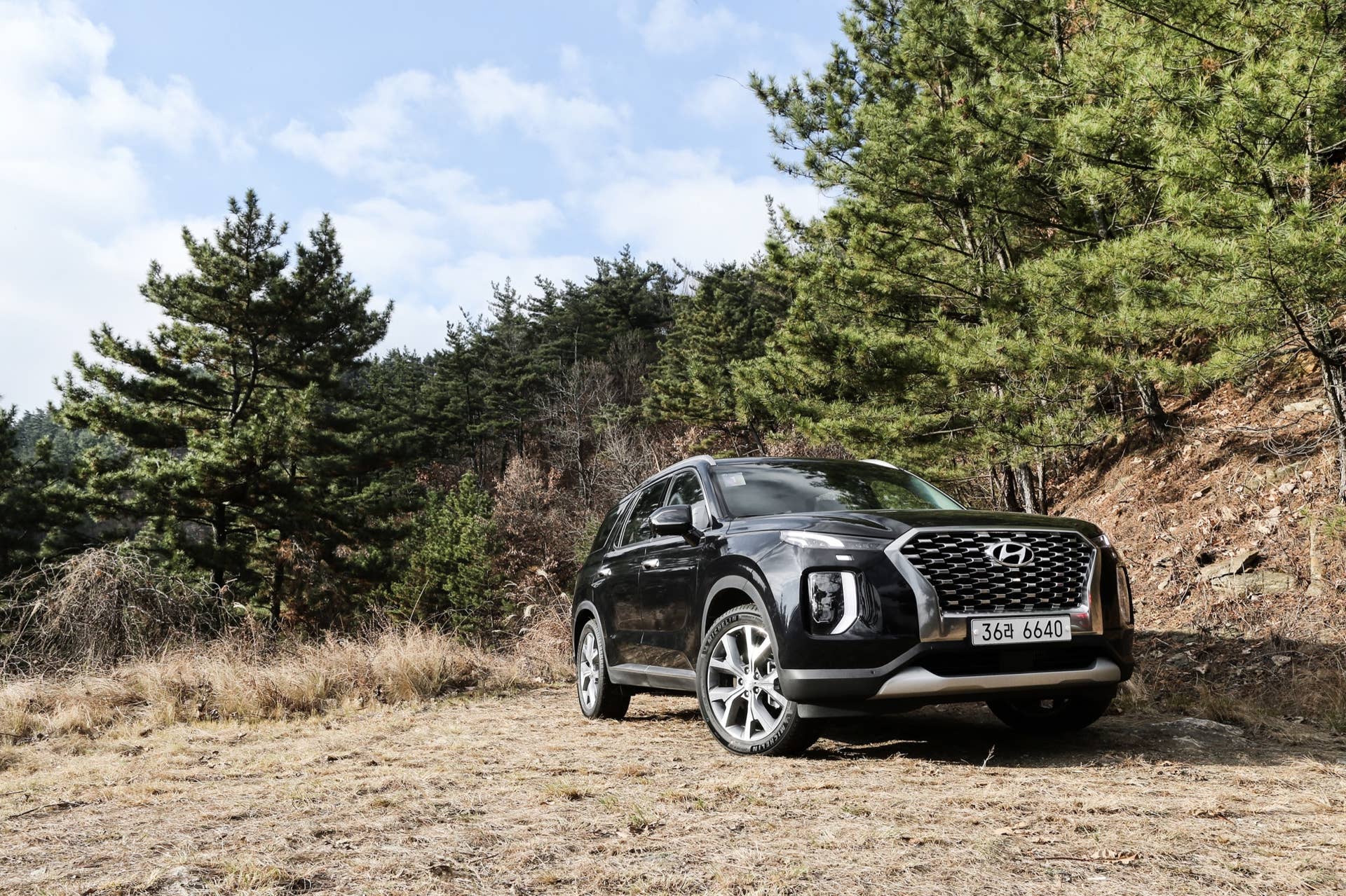 2020 Hyundai Palisade