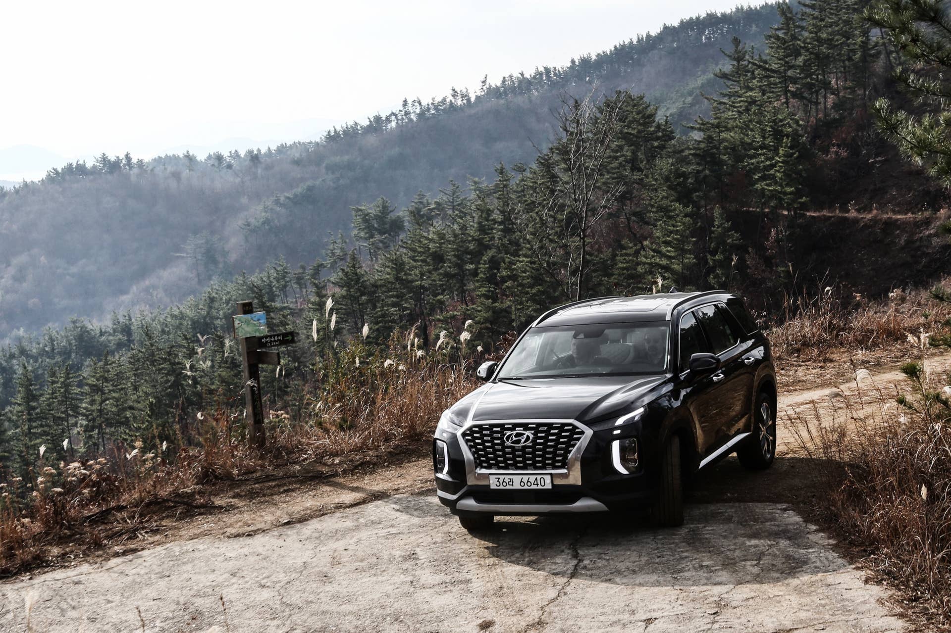 2020 Hyundai Palisade
