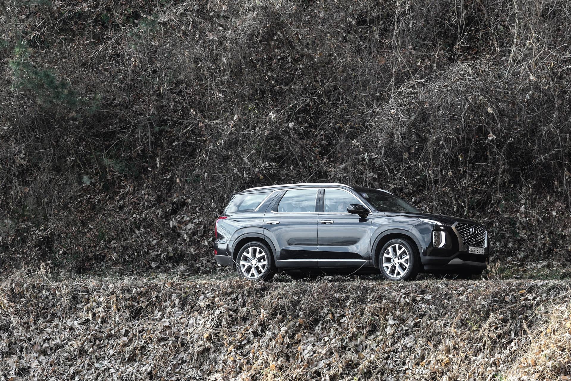 2020 Hyundai Palisade