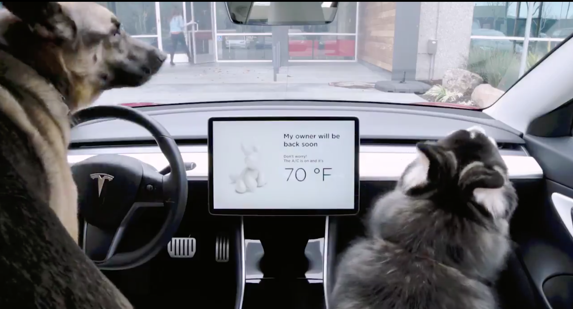 Tesla Dog Mode
