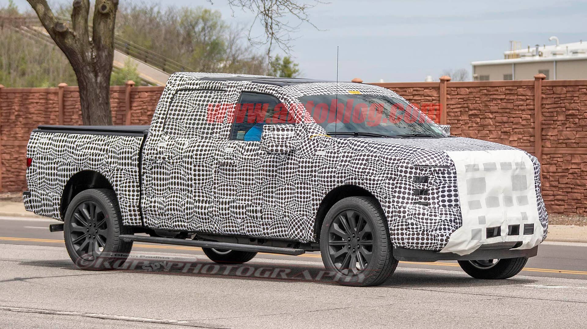 Here's a heavily camouflaged F-150.