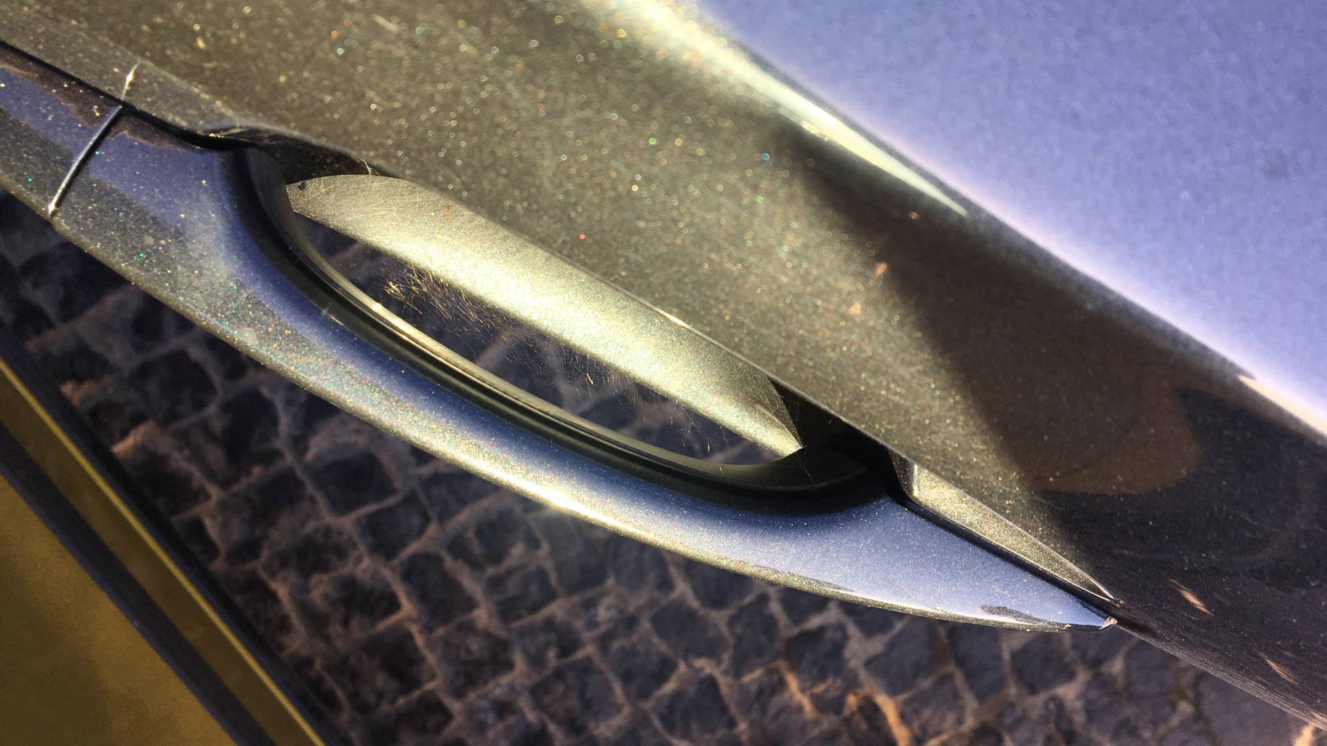 There was a tiny spider living in the front passenger door handle.