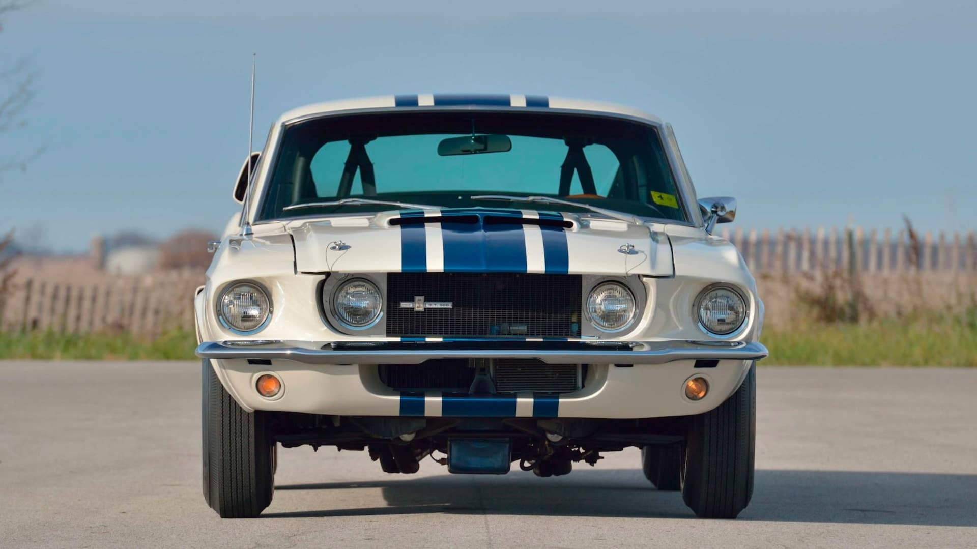 Shelby GT500 Super Snake