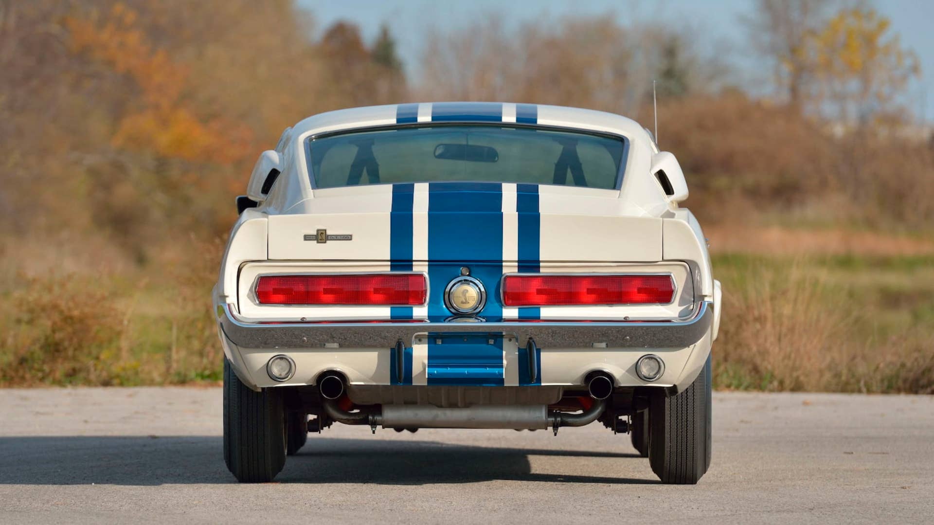 Shelby GT500 Super Snake