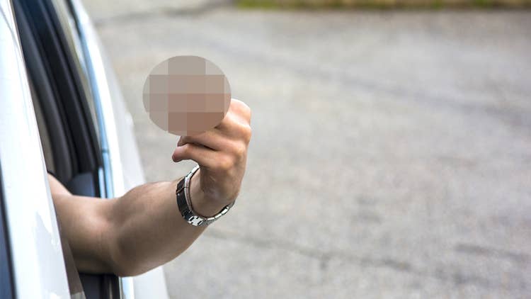 A Michigan woman was exercising her free-speech right when she flipped off a cop, an appeals court panel has ruled.