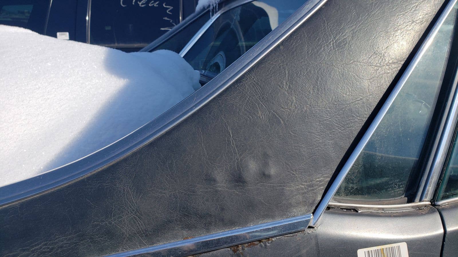 Junked 1982 GMC Caballero