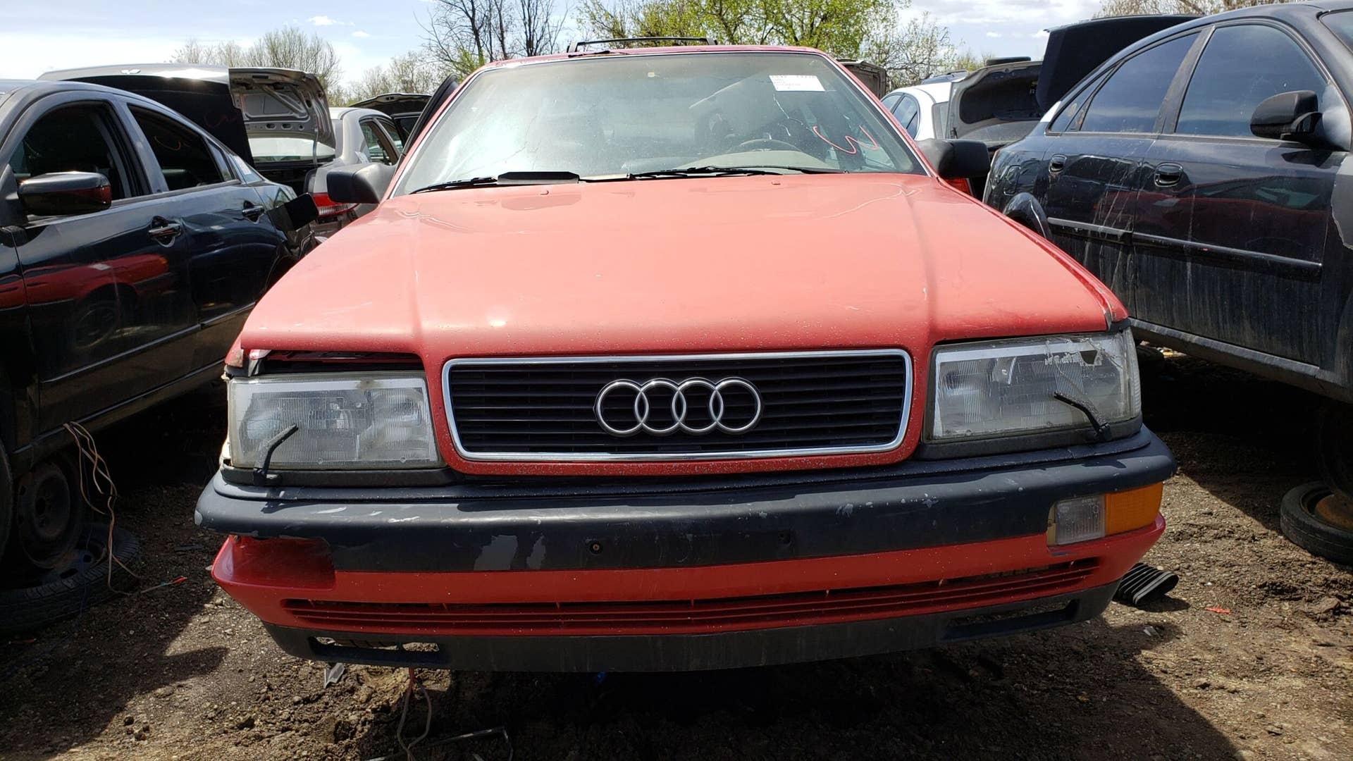 Junked 1989 Audi V8 Quattro