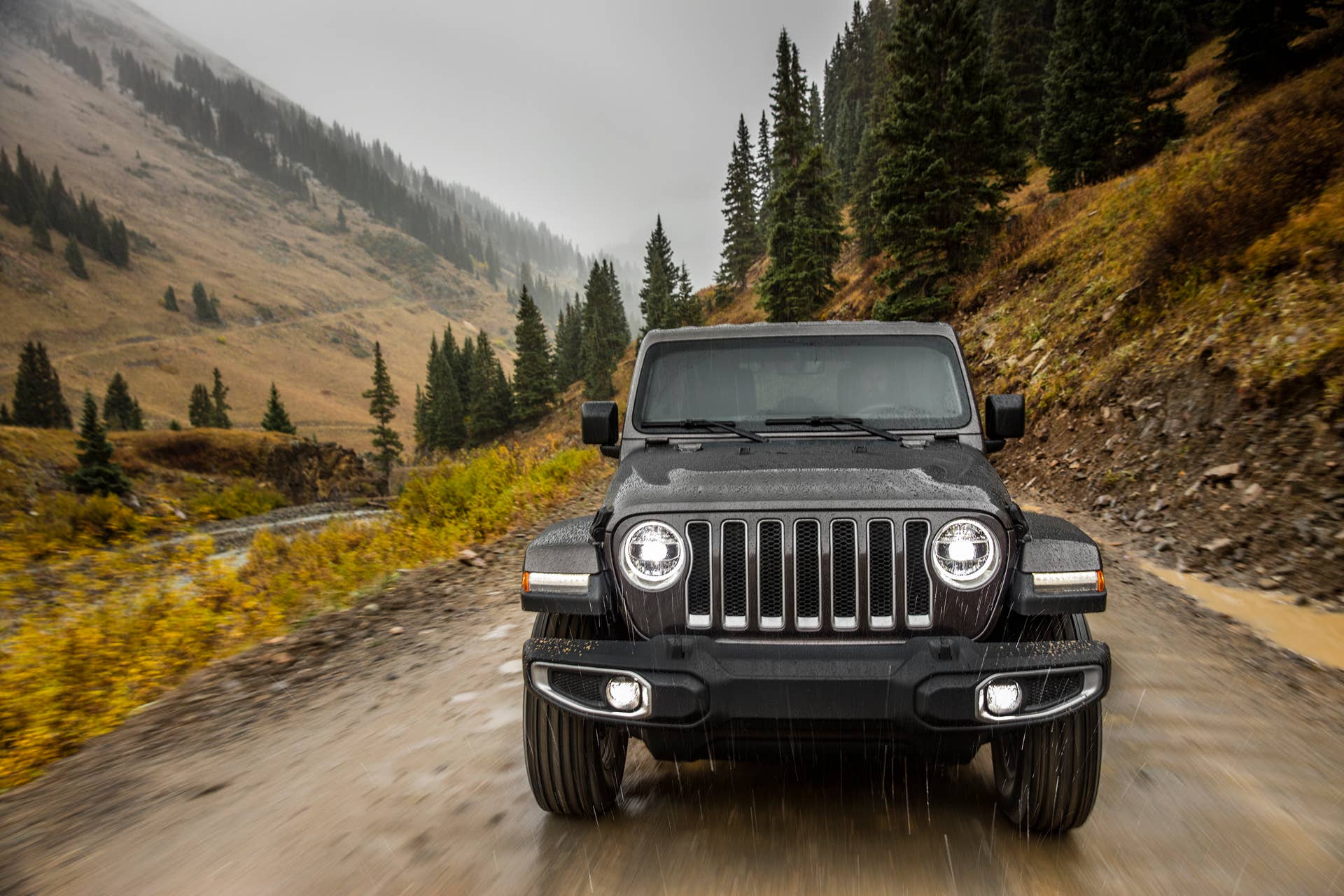 2019 Jeep® Wrangler Sahara