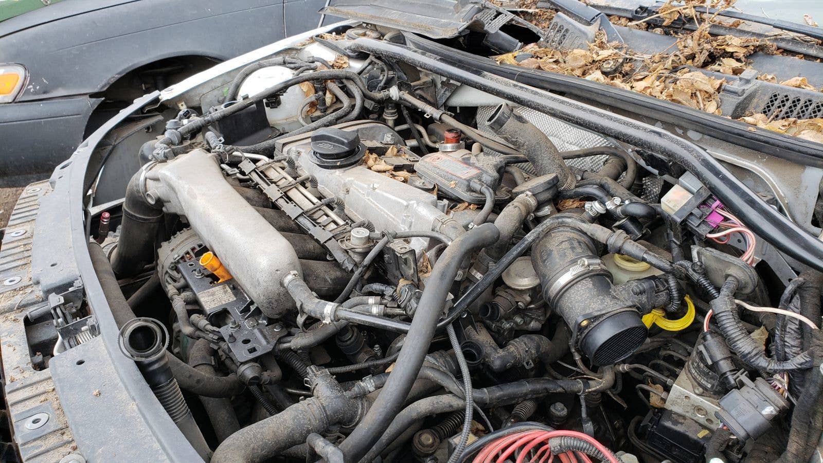 2001 Audi TT Quattro Roadster in Colorado wrecking yard
