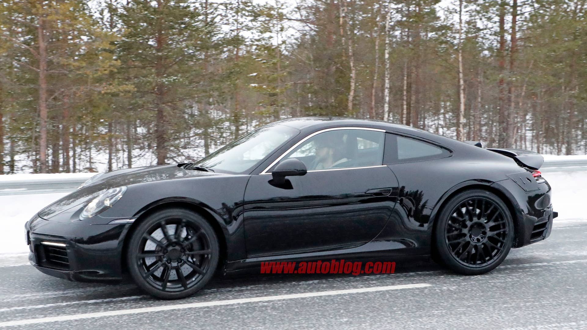 2019 Porsche 911 profile