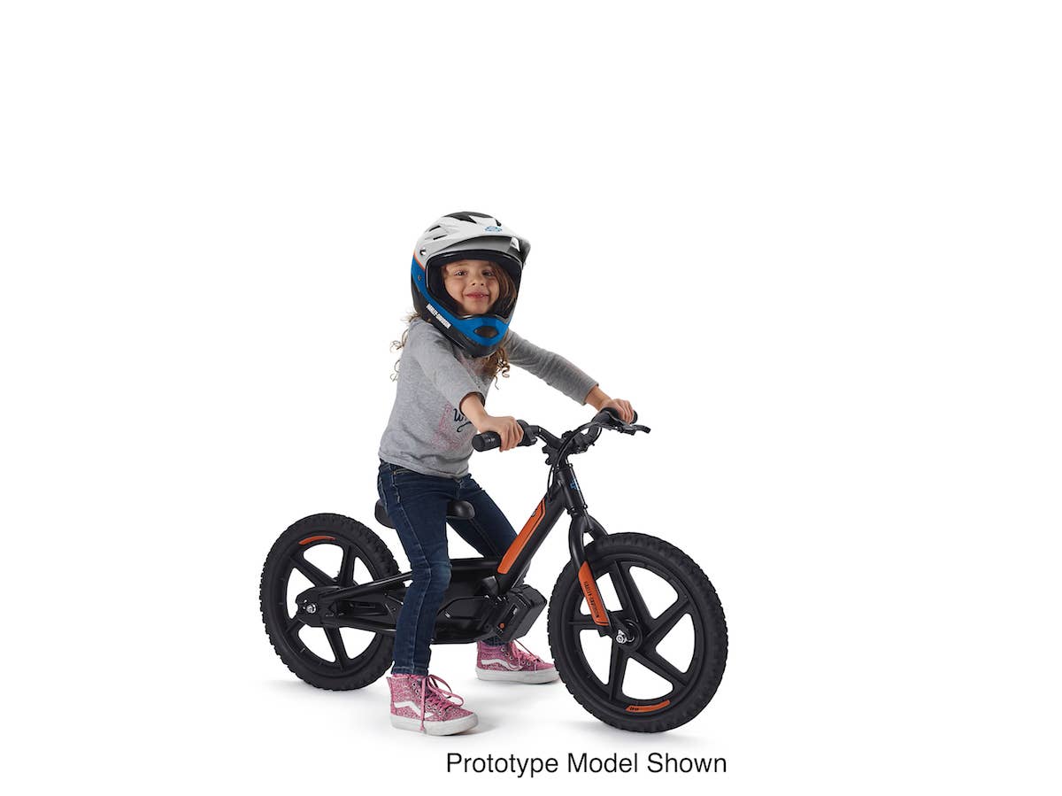 Harley-Davidson StaCyc eDrive