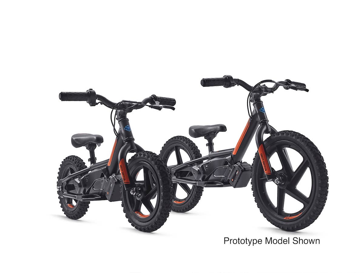 Harley-Davidson StaCyc eDrive
