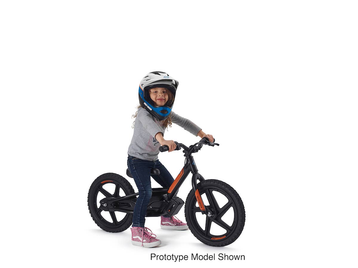Harley-Davidson said it has acquired StaCyc, a maker of electric BMX-style push bikes for kids, with plans to brand a line of the company's eDrive bikes.