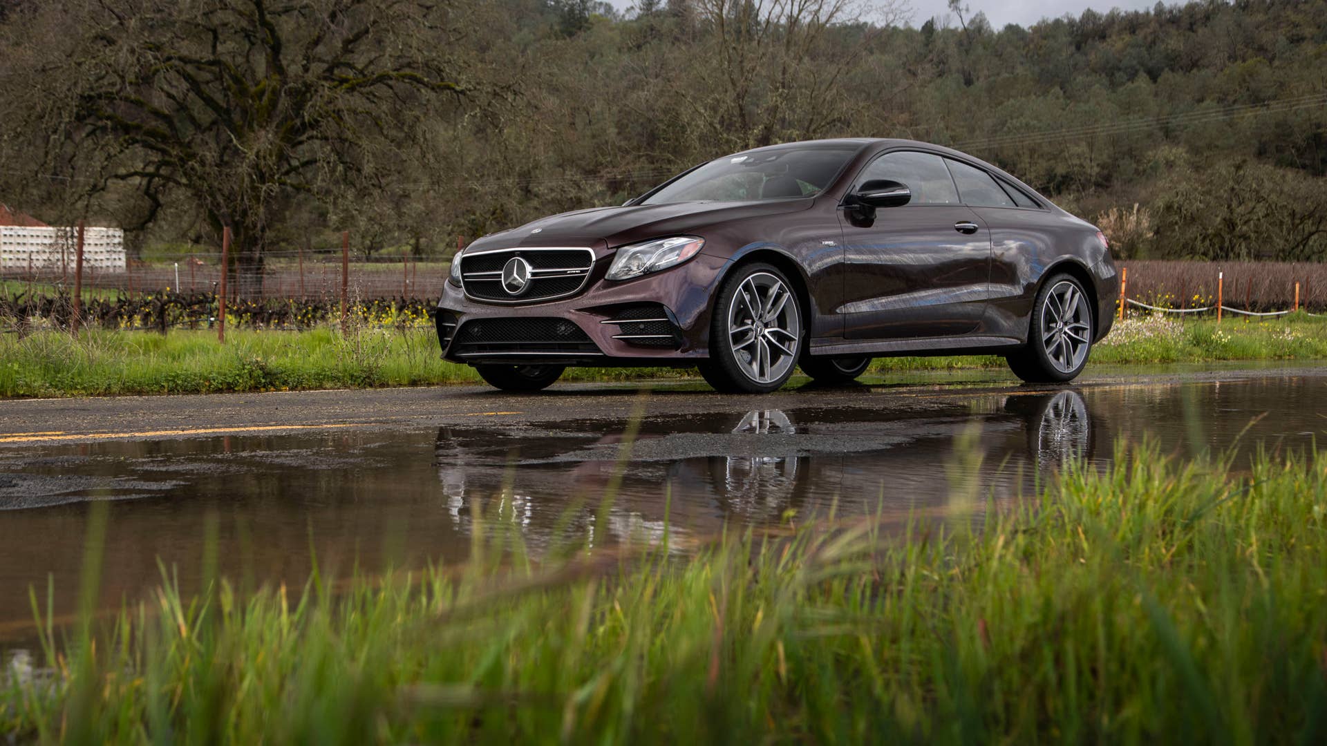 2019 Mercedes-AMG E 53