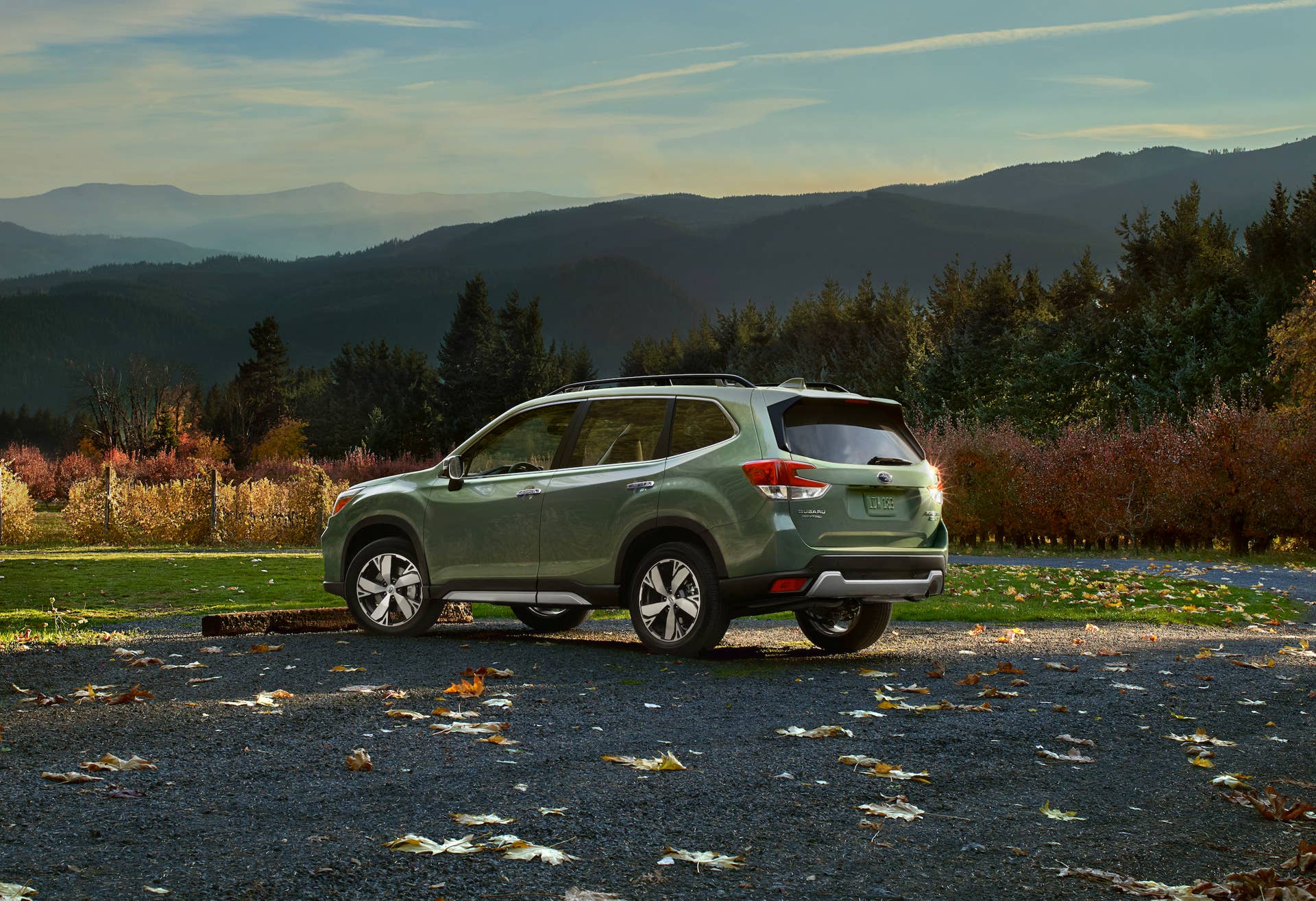 2019 Subaru Forester