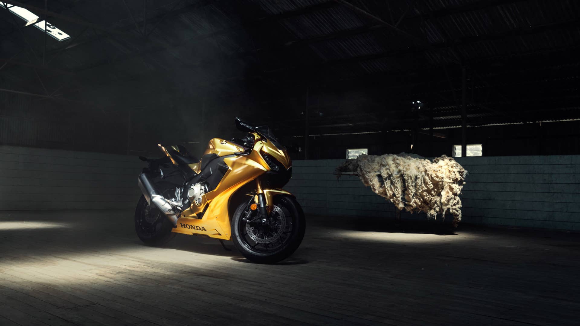 Honda Australia 50th Anniversary Gold