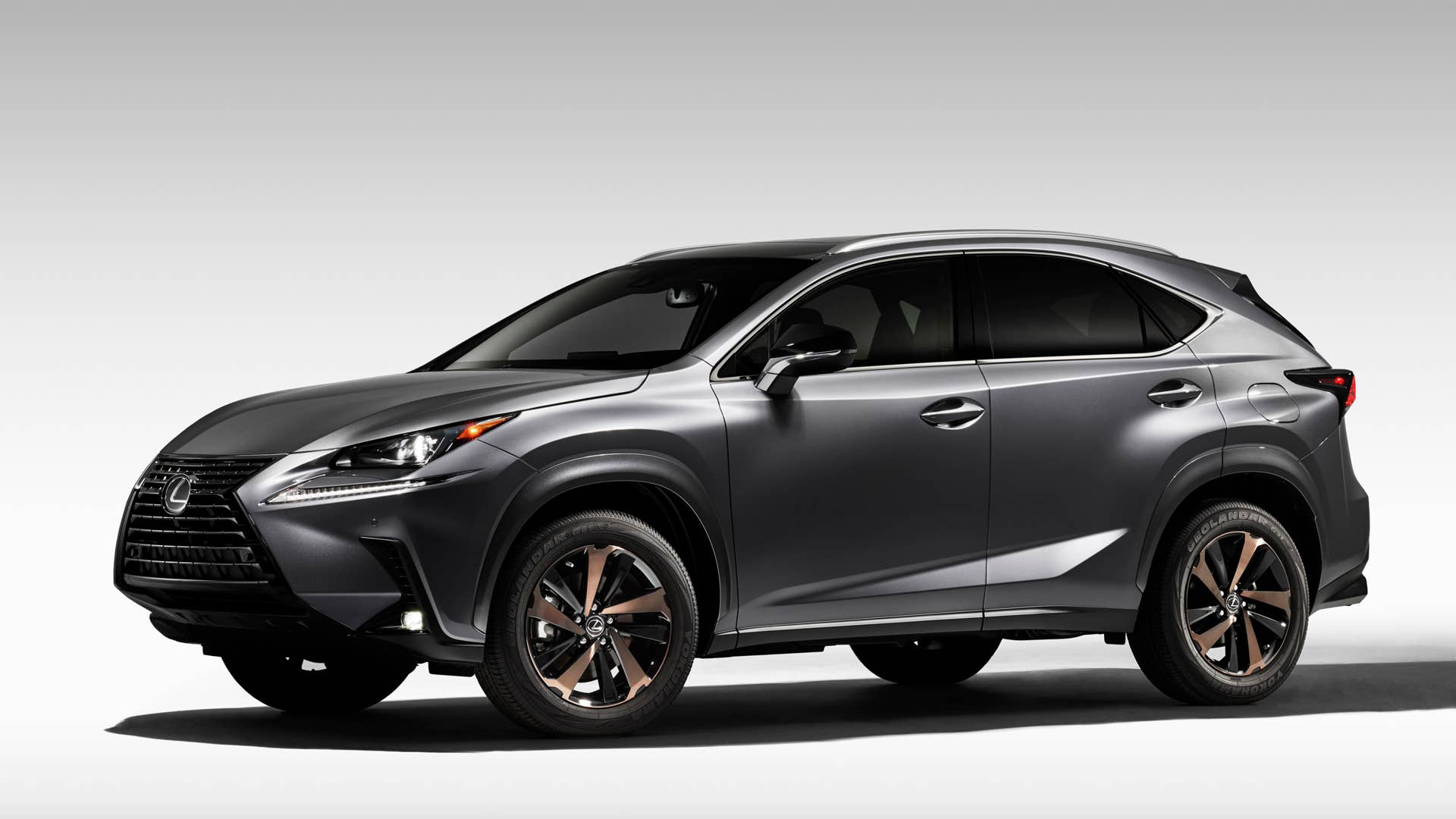 2020_lexus_nx_-black-line_side