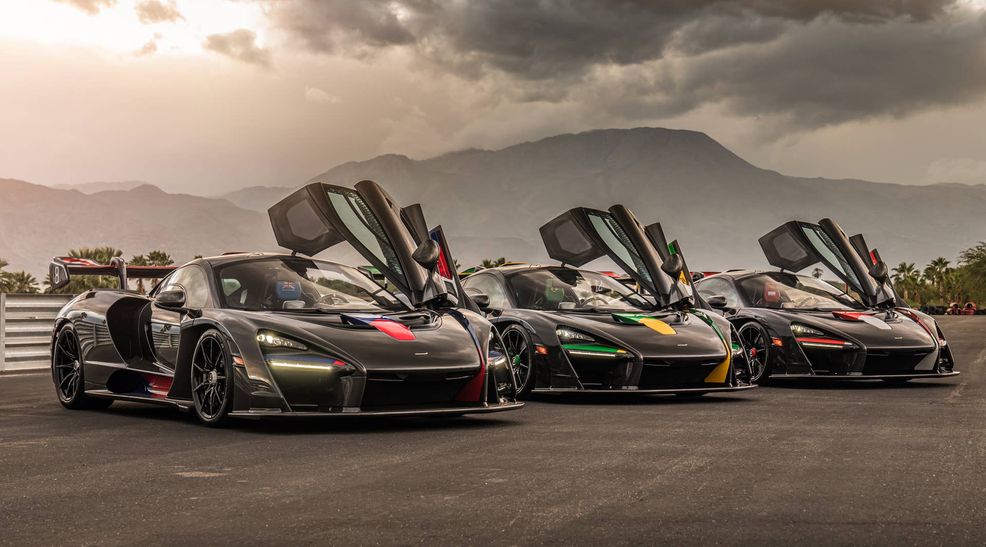Each car gets a name and celebrates a Formula 1 race track where Ayrton Senna scored an especially outstanding victory. All three are dressed in gloss black carbon fiber, accented with the colors of the F1 circuit's country, and adorned with Ayrton's car number on the wing endplates.