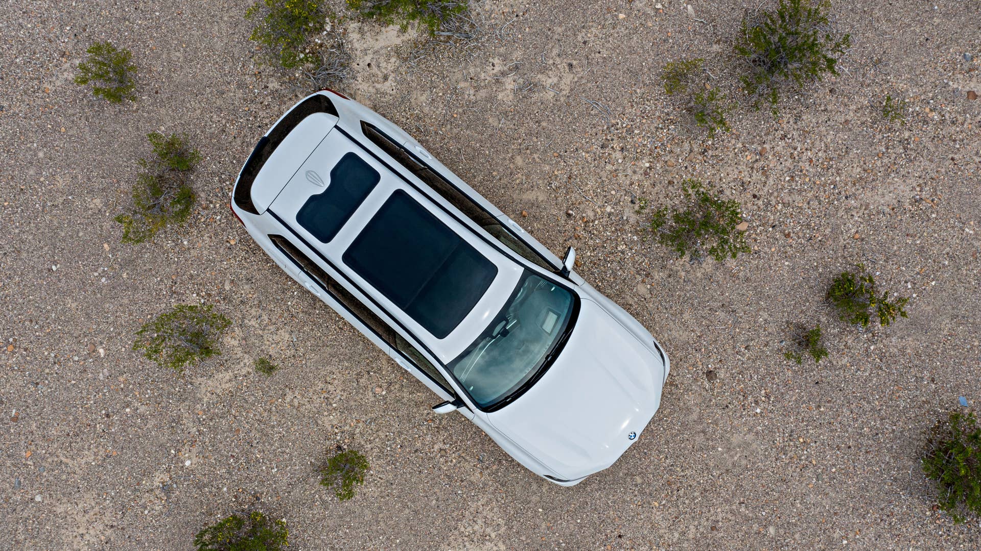 2019 BMW X7