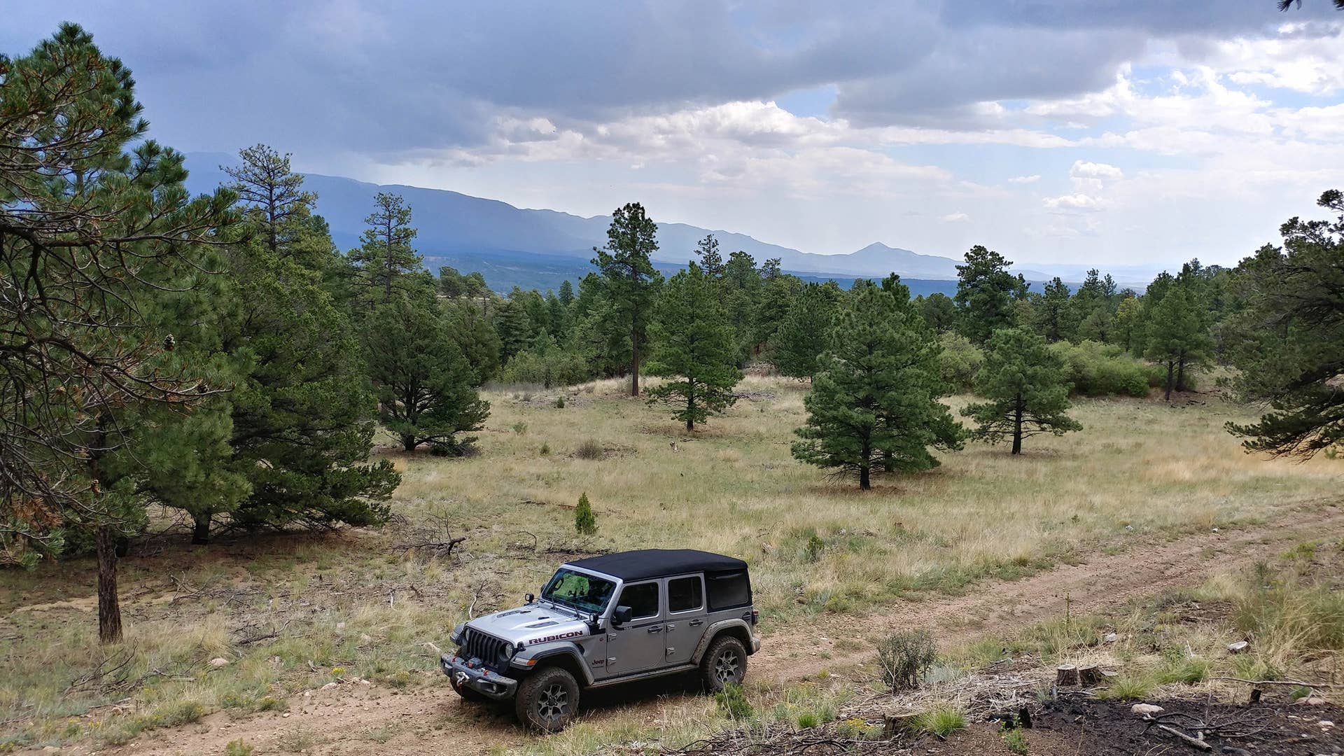Or here, just off Hell's Hole above Wylie Gulch.