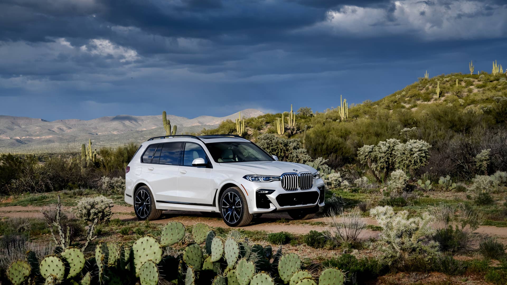 2019 BMW X7