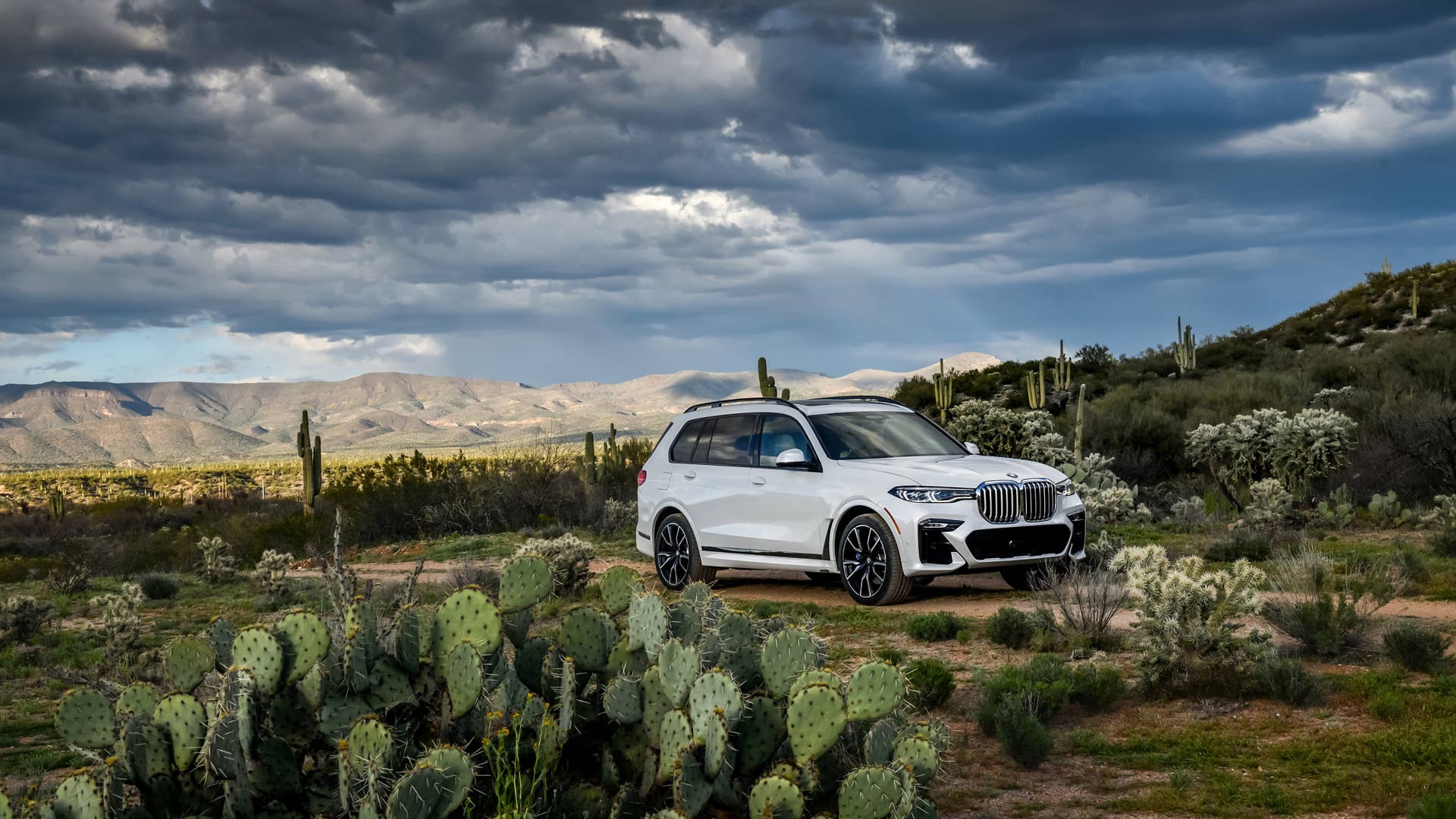 2019 BMW X7