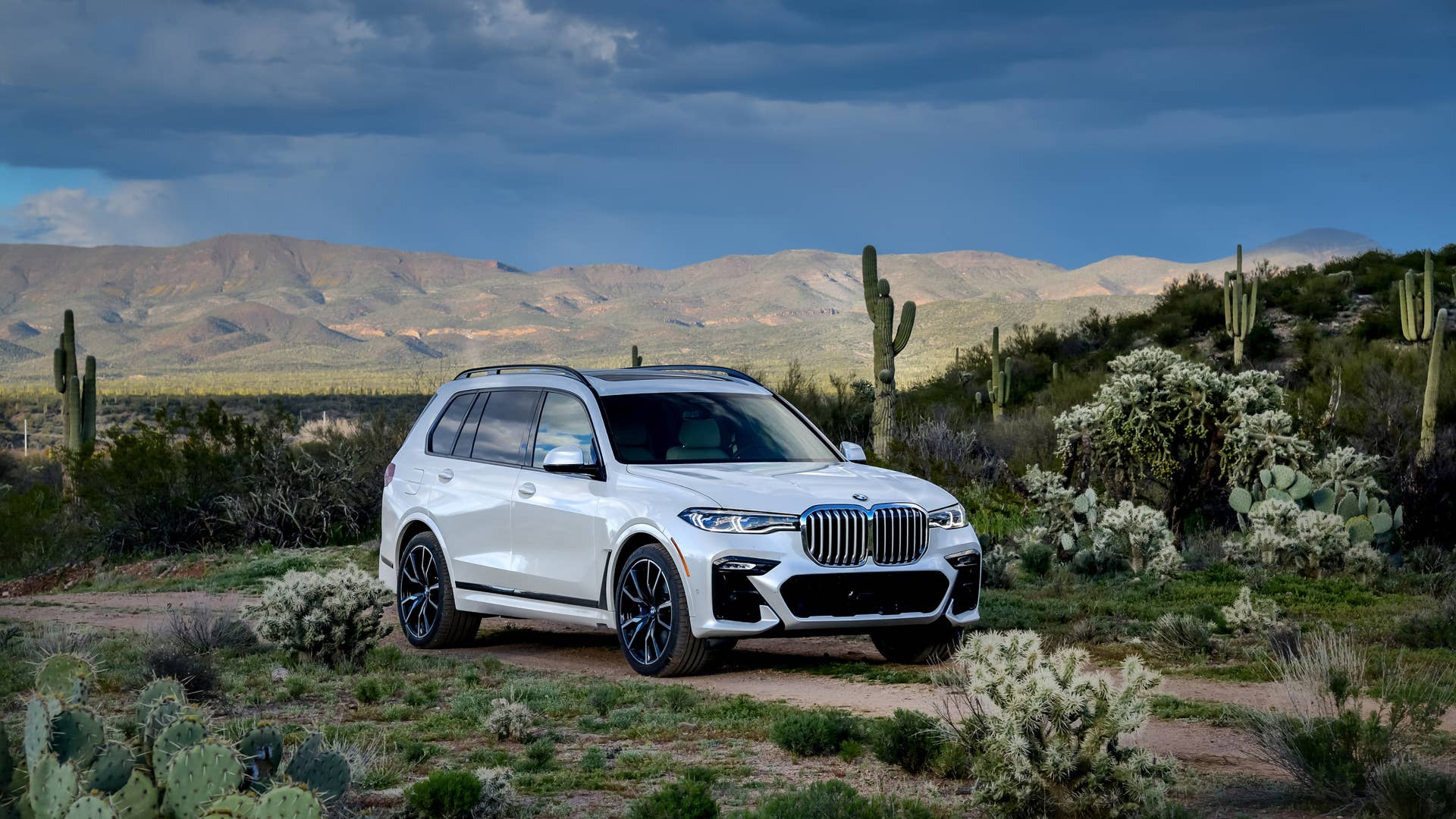 2019 BMW X7
