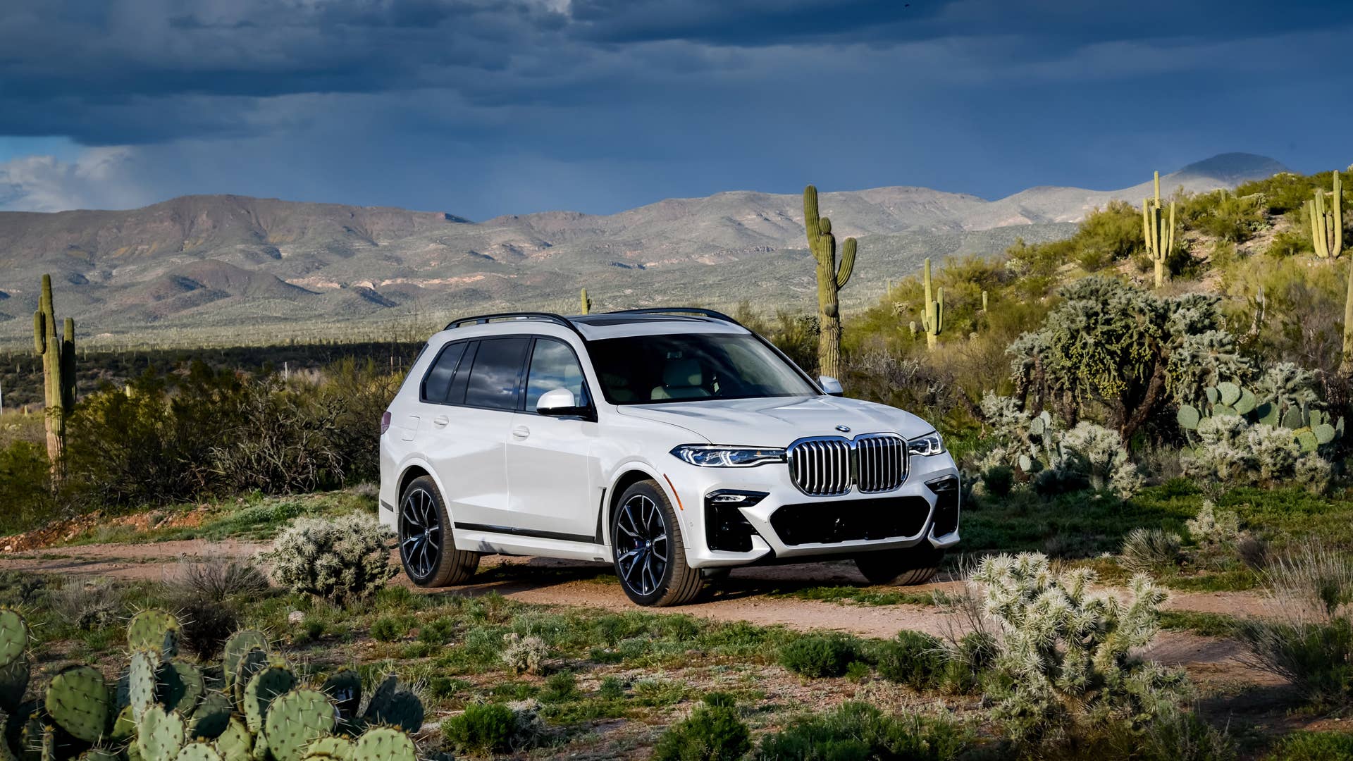 2019 BMW X7