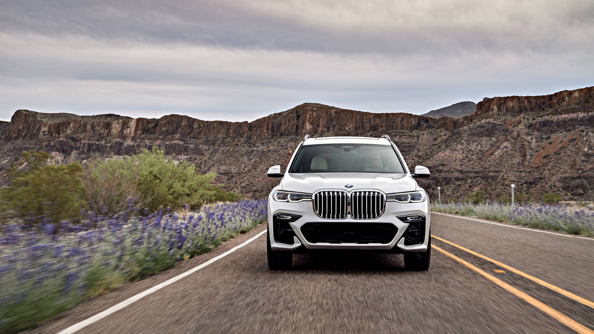 2019 BMW X7