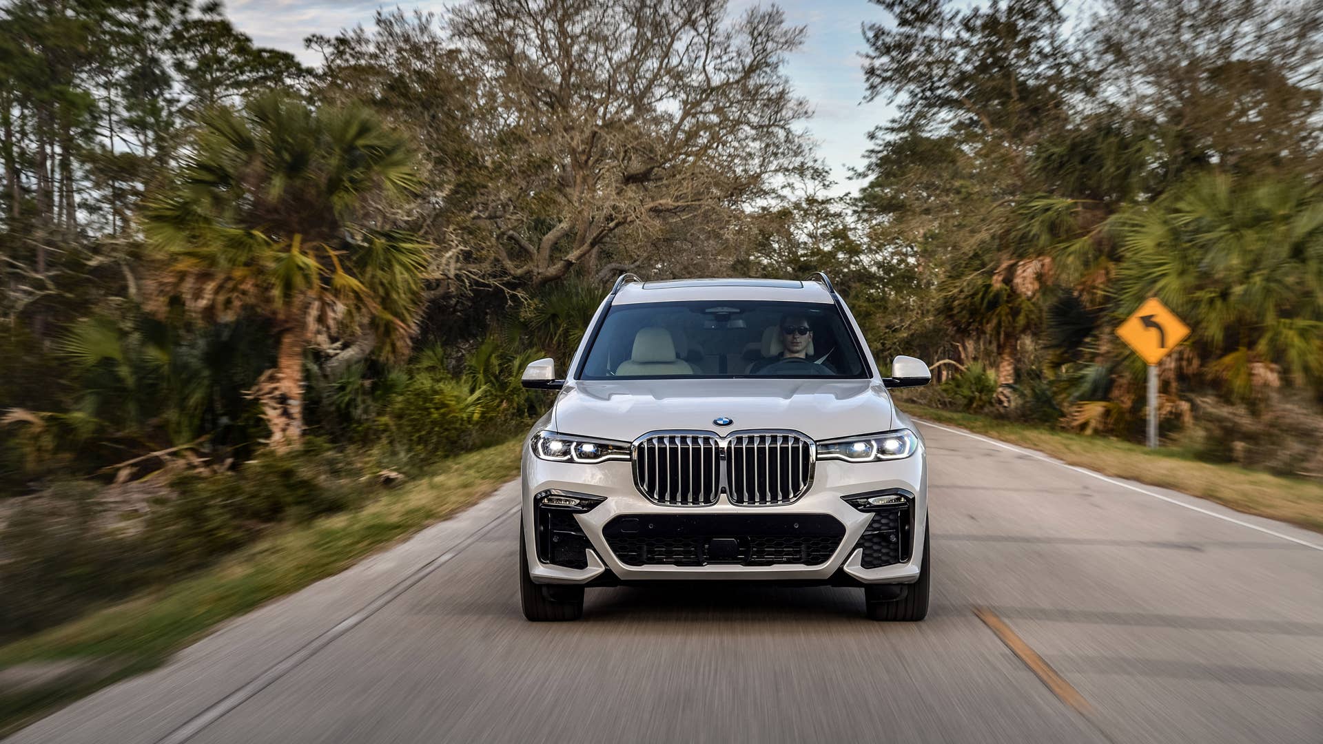 2019 BMW X7