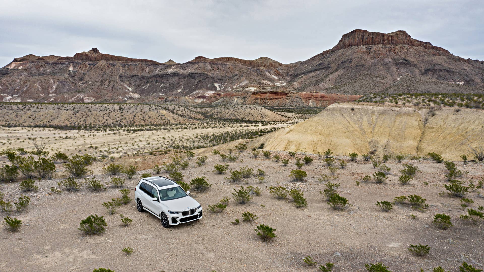 2019 BMW X7
