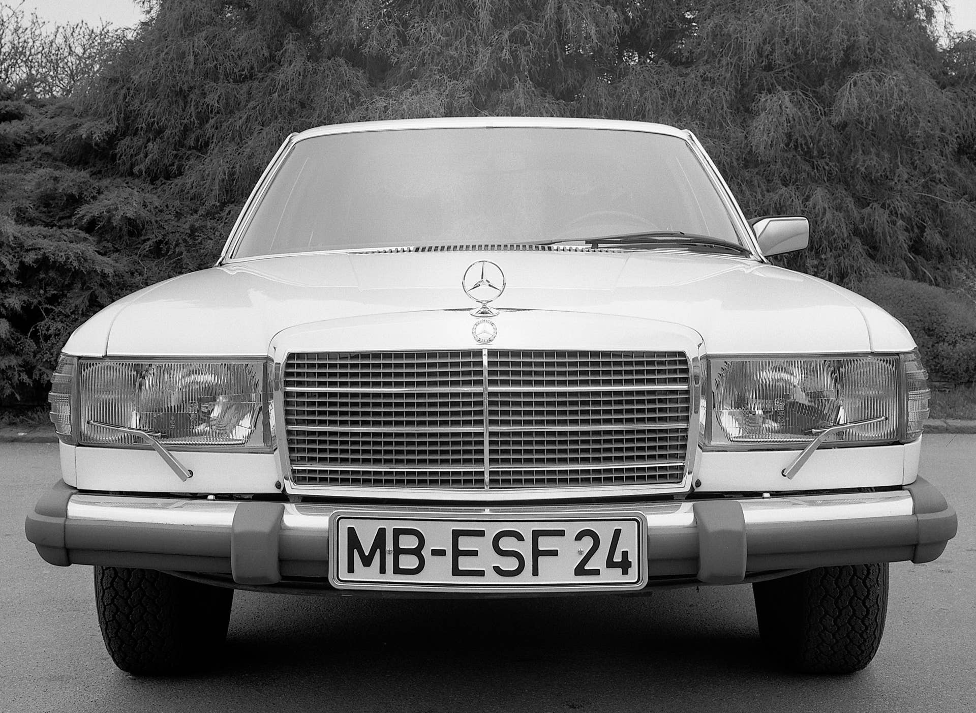 Mercedes-Benz ESF 2019