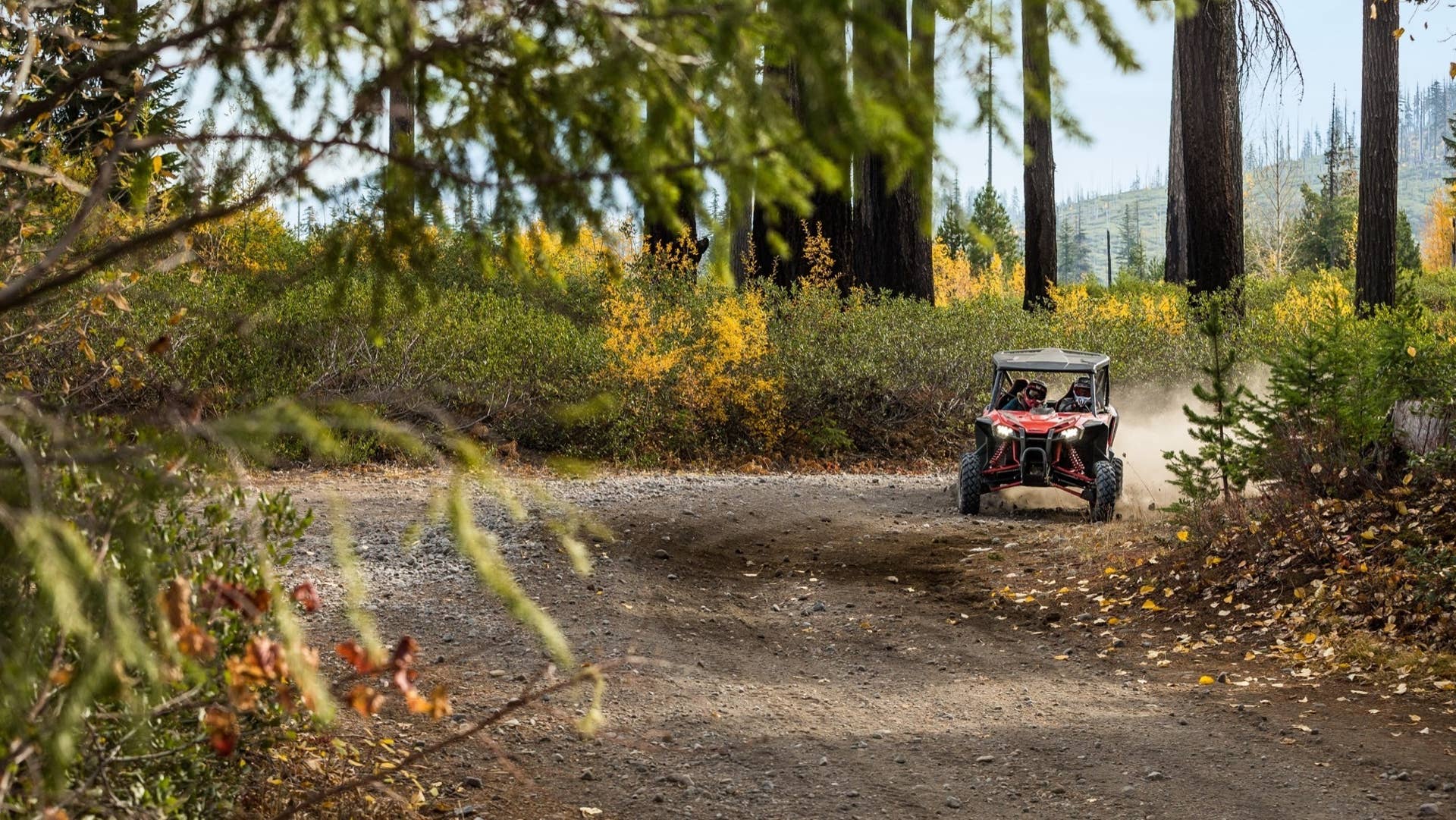 2019 Honda Talon 1000R
