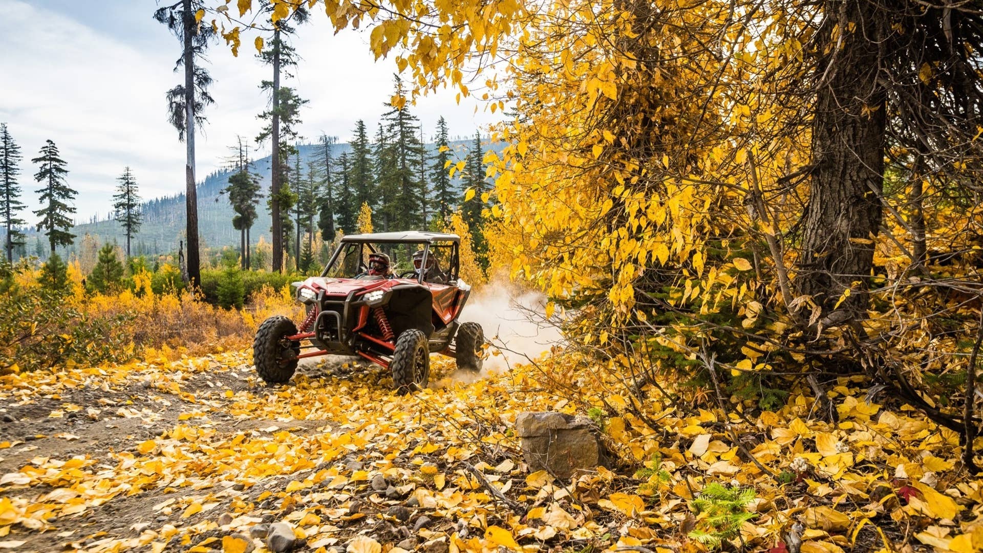 2019 Honda Talon 1000R