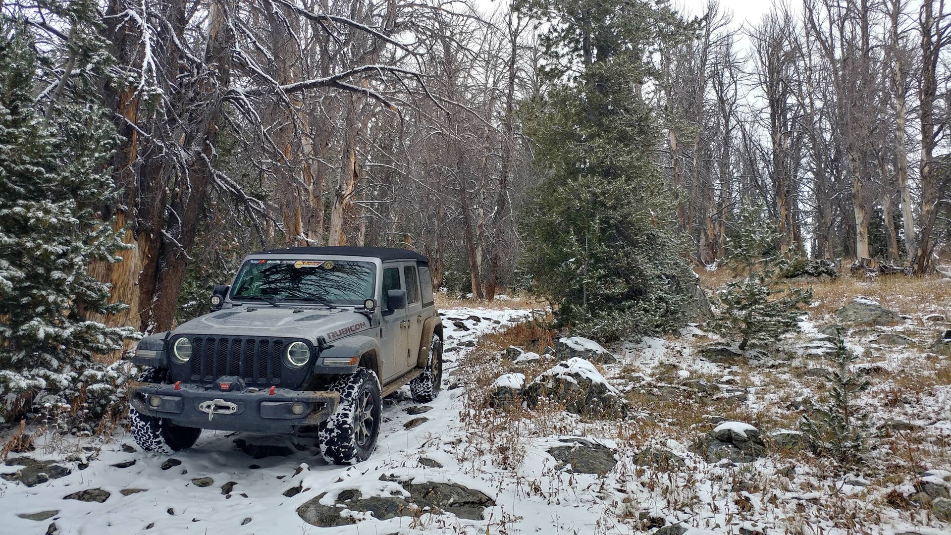 Rubicon Alaska Cannonball