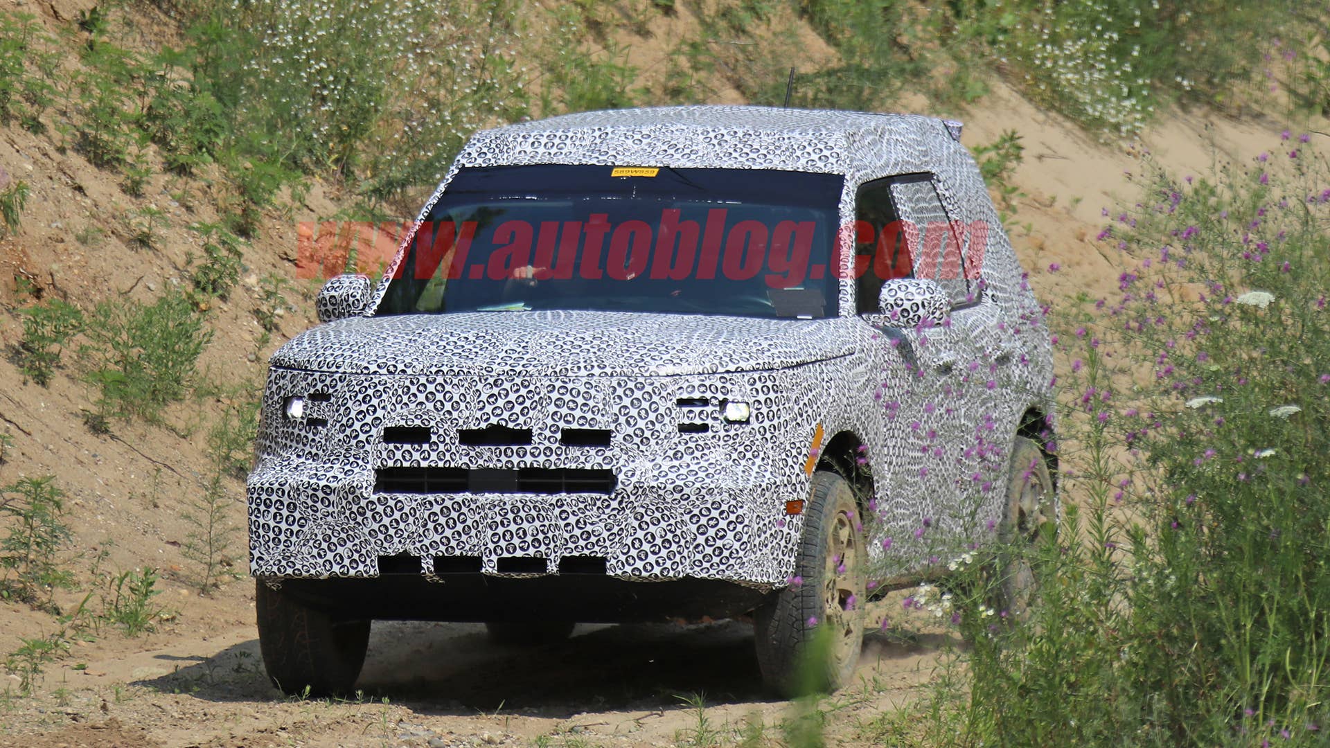 Ford Baby Bronco off road