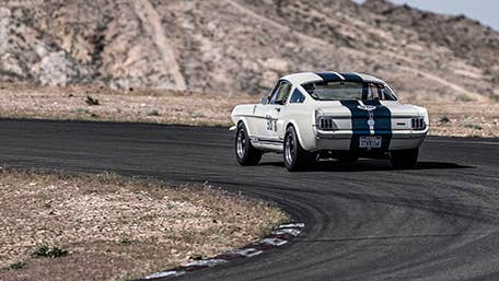 Original Venice Crew Shelby GT350R